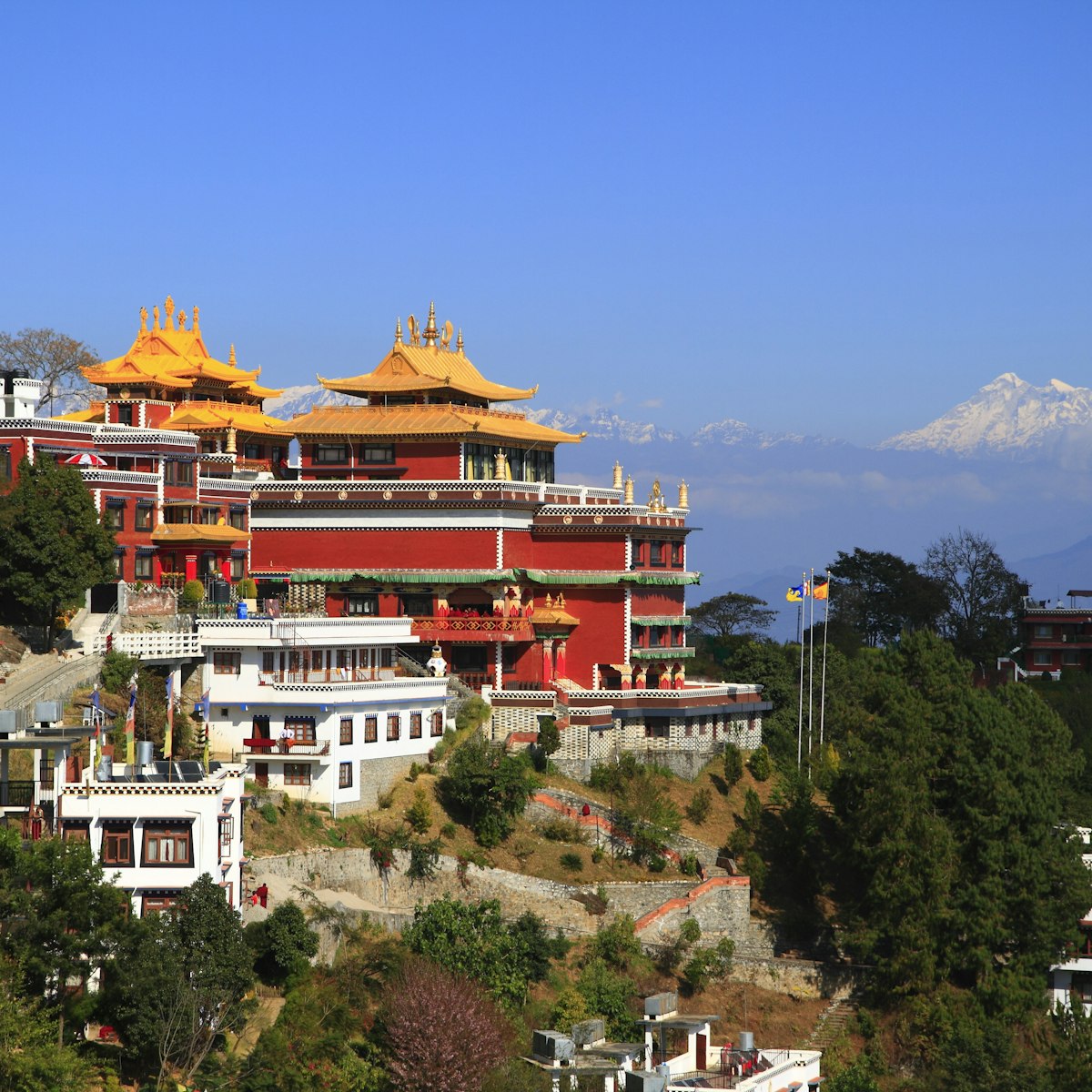 The Thrangu Tashi Yangtse Monastery in Nepal.
