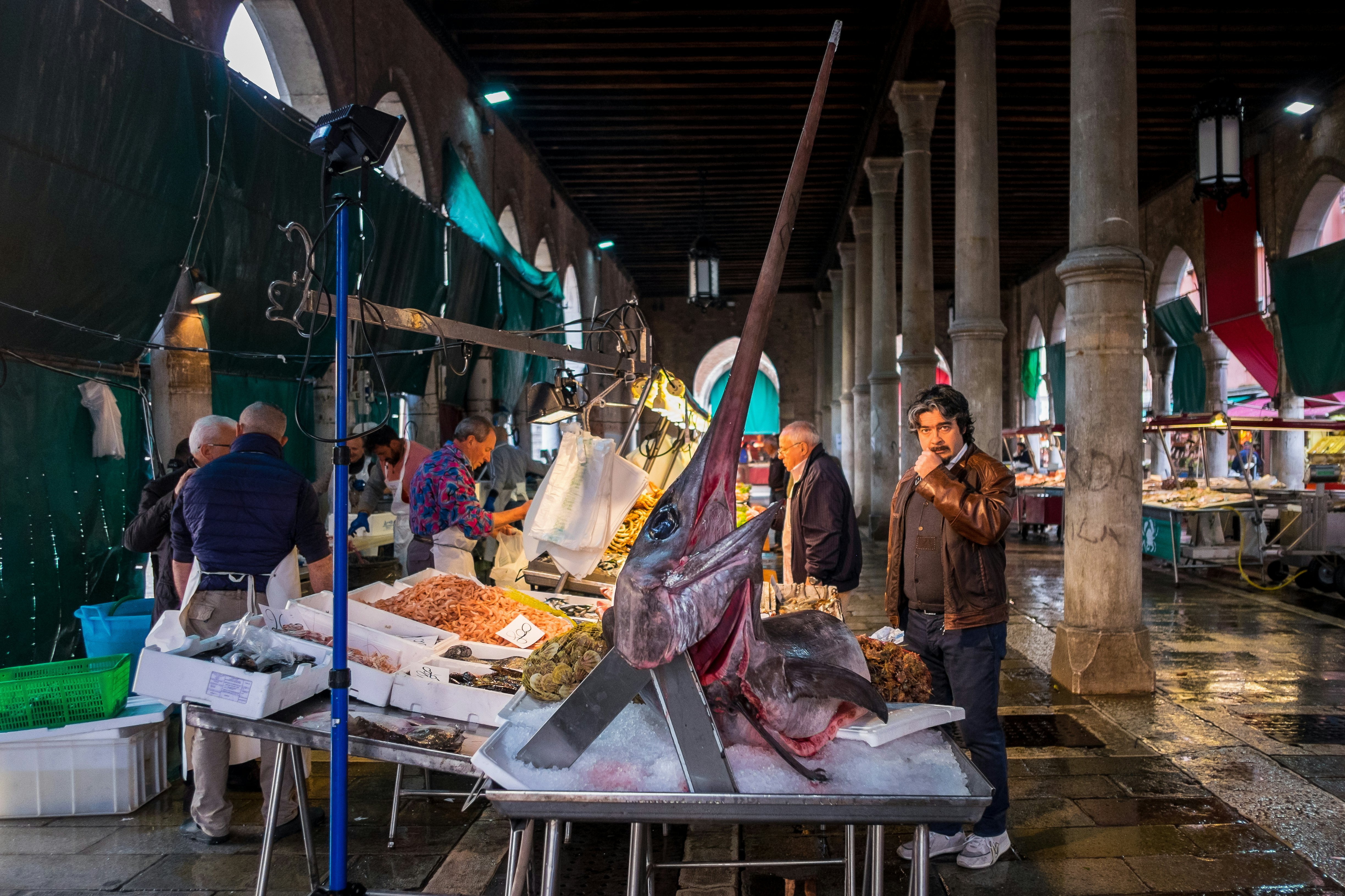 Venice, Italy - 5 April 2016:  Fishmongers set up their stalls with a variety of fresh fish, including giant swordfish, at the Rialto fish market, Venice, Italy
519462692
European Culture, Tourism, Men, Fame, Fish Vendor, Color Image, Swordfish, Prepared Fish, Swordfish, Trading, Market Stall, History, Freshness, Colors, International Landmark, Famous Place, Travel Destinations, Urban Scene, Trader, People, Rialto Bridge, Venice - Italy, Italy, Europe, Fish, Market, City, Seafood, Food