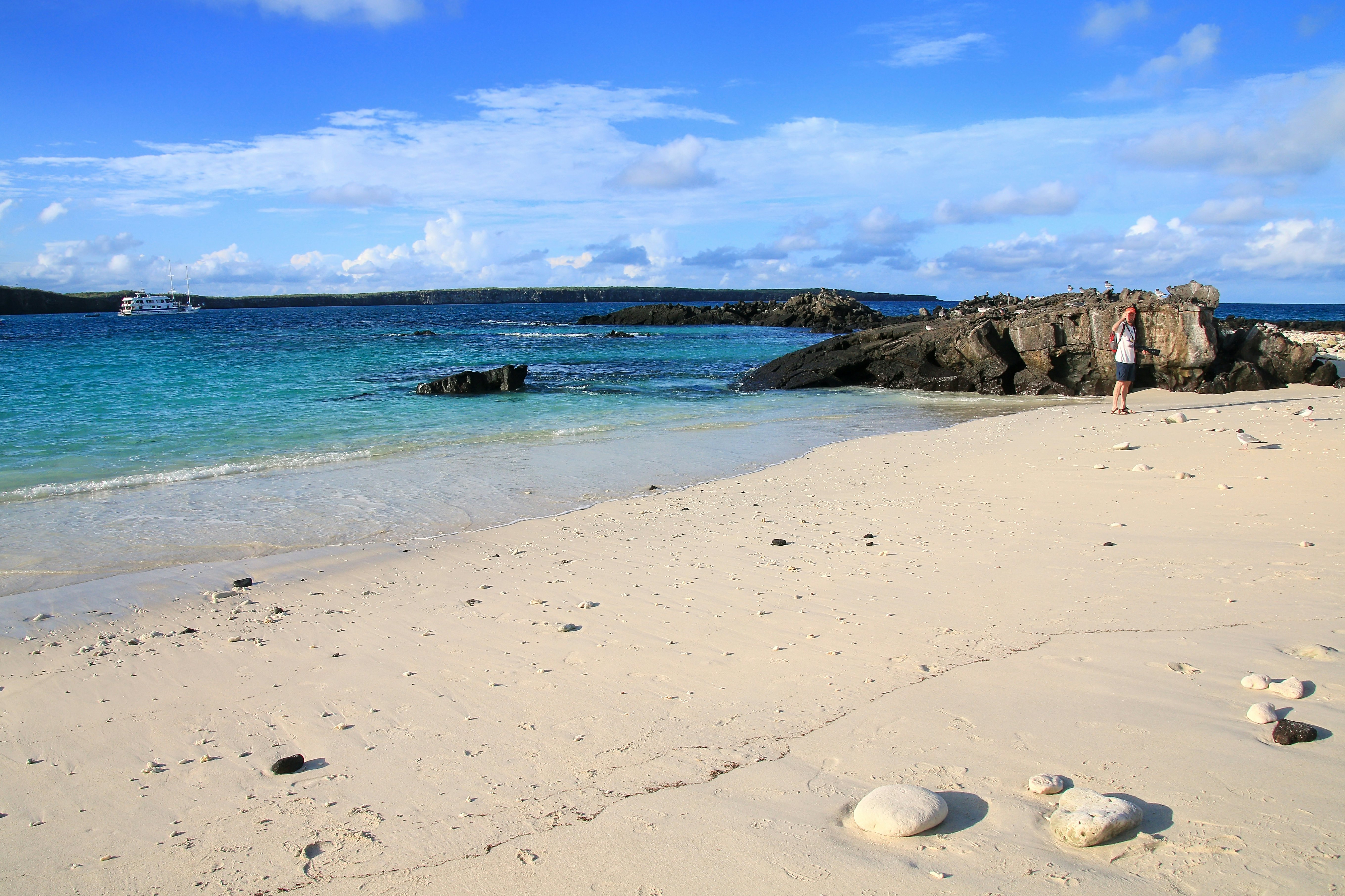 Sandy beach of Great Darwin Bay on Genovesa Island, Galapagos National Park.
