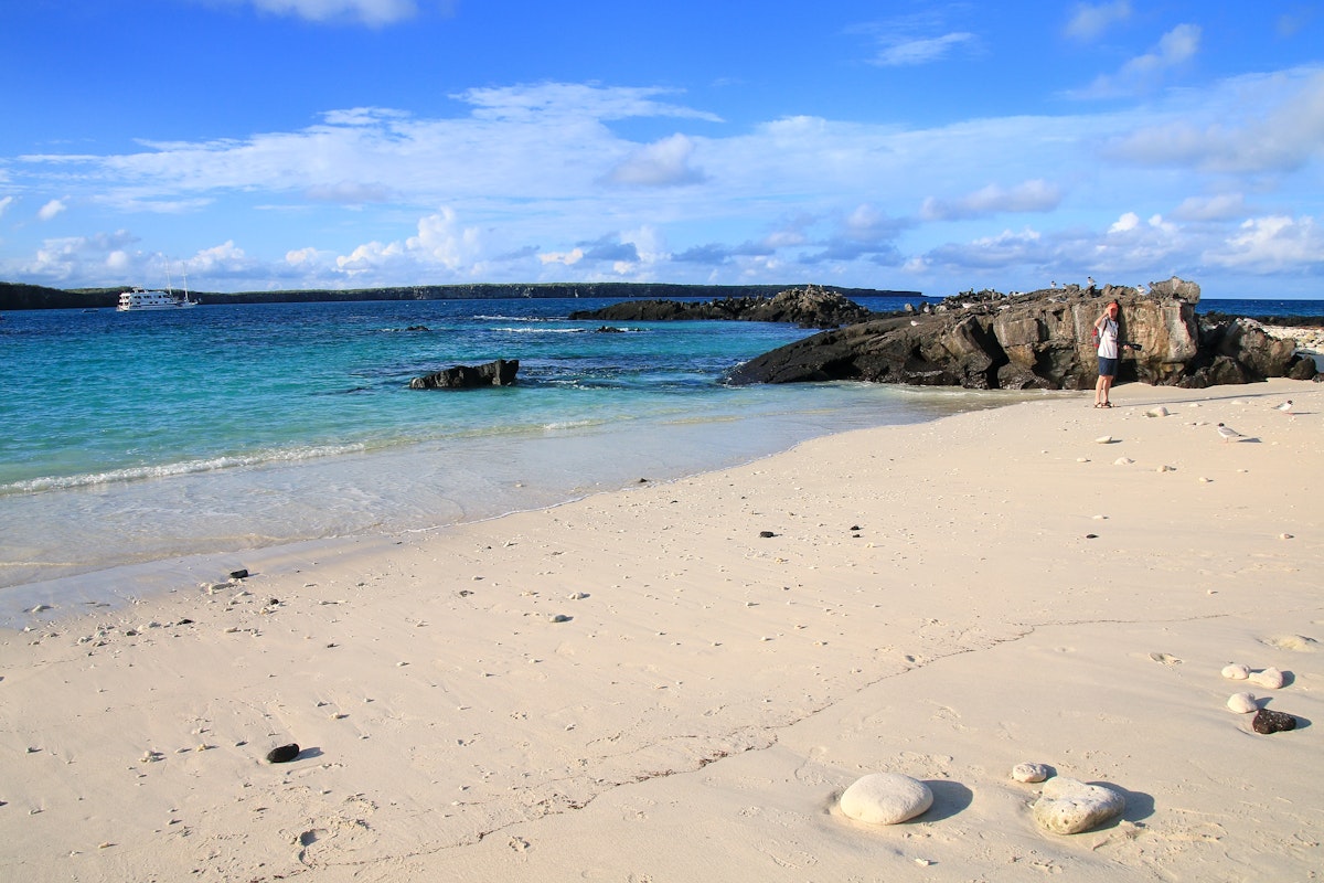 Sandy beach of Great Darwin Bay on Genovesa Island, Galapagos National Park.
