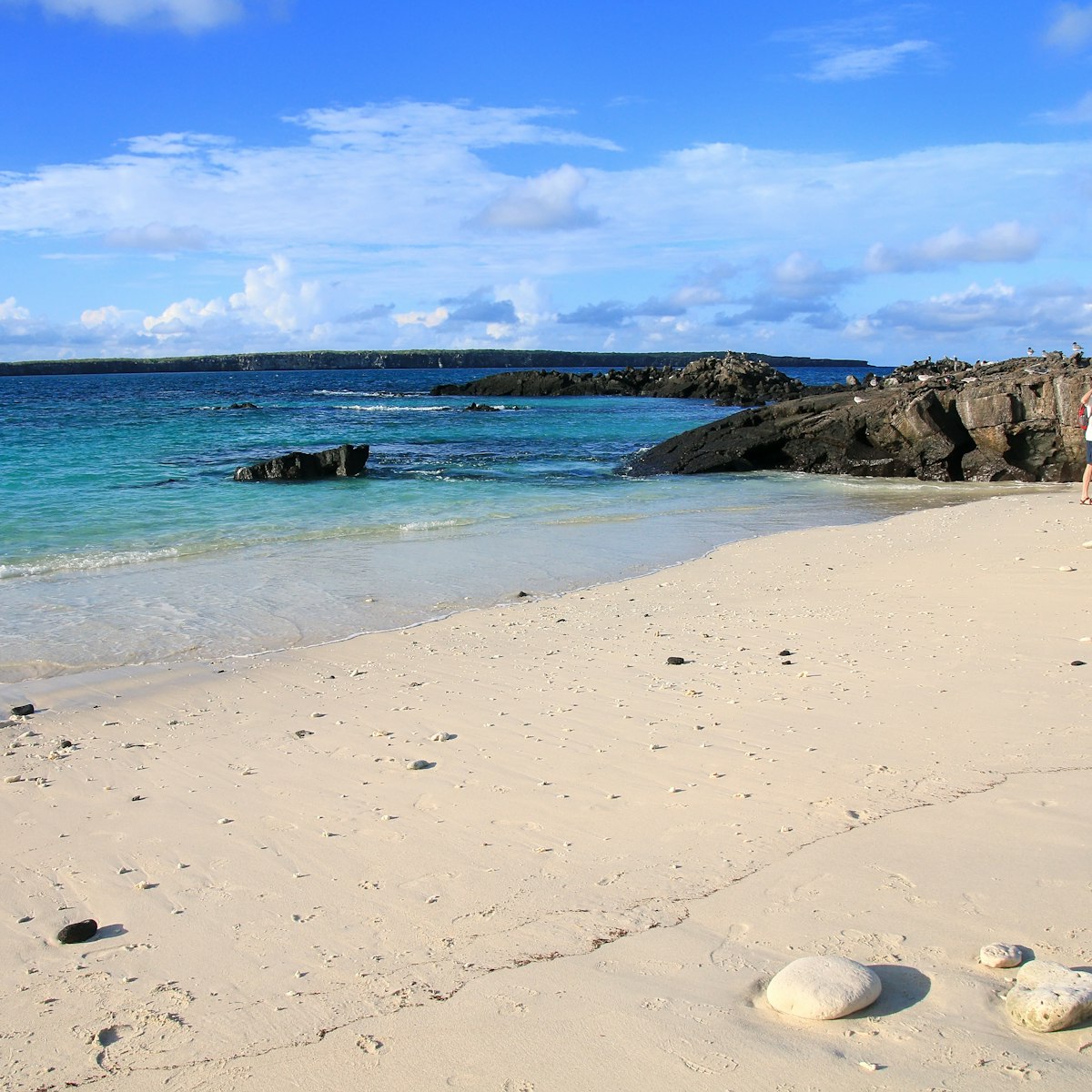 Sandy beach of Great Darwin Bay on Genovesa Island, Galapagos National Park.
