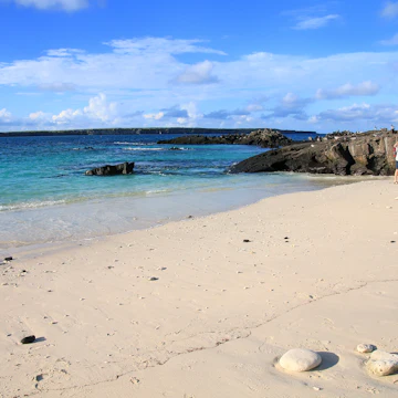 Sandy beach of Great Darwin Bay on Genovesa Island, Galapagos National Park.