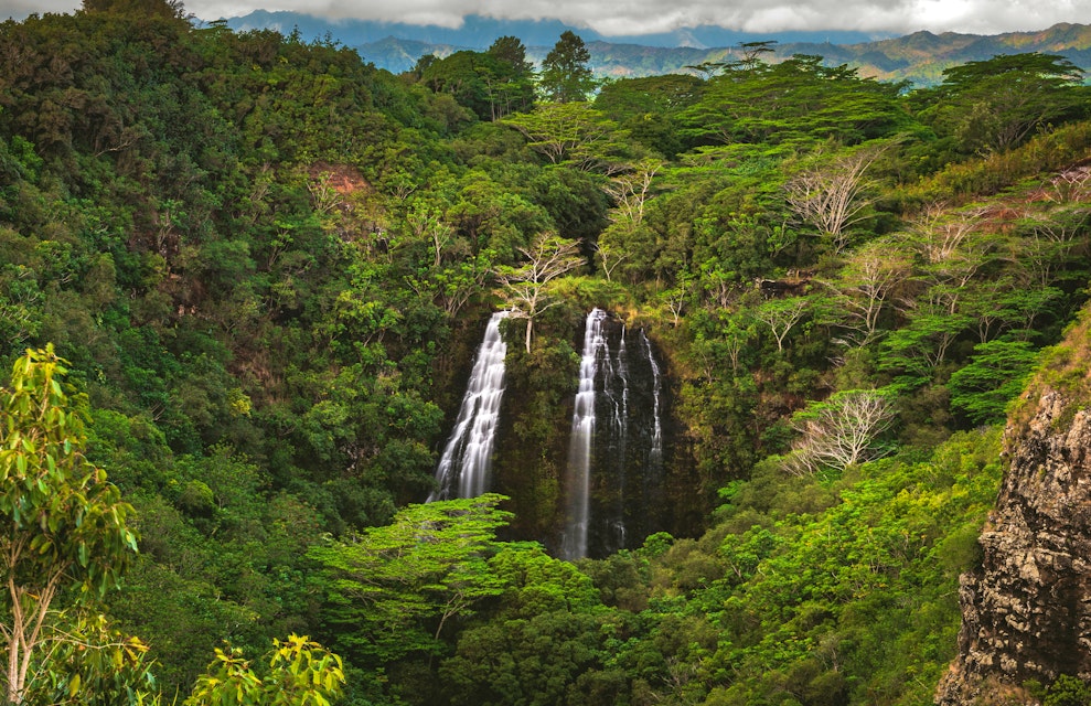 ʻŌpaekaʻa Falls, a waterfall located on the ʻŌpaekaʻa Stream in Wailua River State Park on the eastern side of the island of Kauai, Hawaii, United States.; Shutterstock ID 1378671545; purchase_order: 65050; job: ; client: ; other:
1378671545