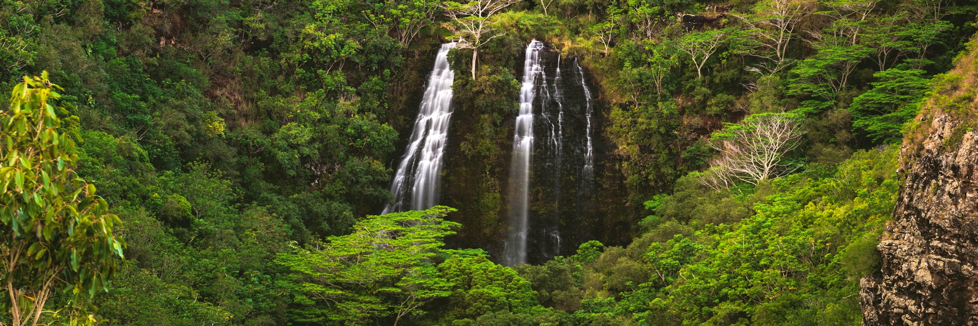 ʻŌpaekaʻa Falls, a waterfall located on the ʻŌpaekaʻa Stream in Wailua River State Park on the eastern side of the island of Kauai, Hawaii, United States.; Shutterstock ID 1378671545; purchase_order: 65050; job: ; client: ; other:
1378671545