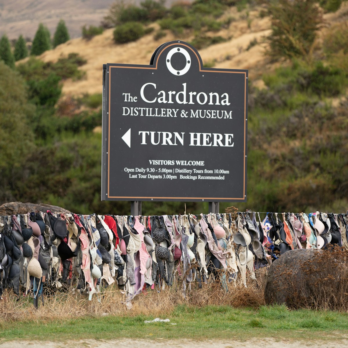 The Cardrona Distillery and Museum sign board with hundreds of bras hanging on the fence known as Bradrona.