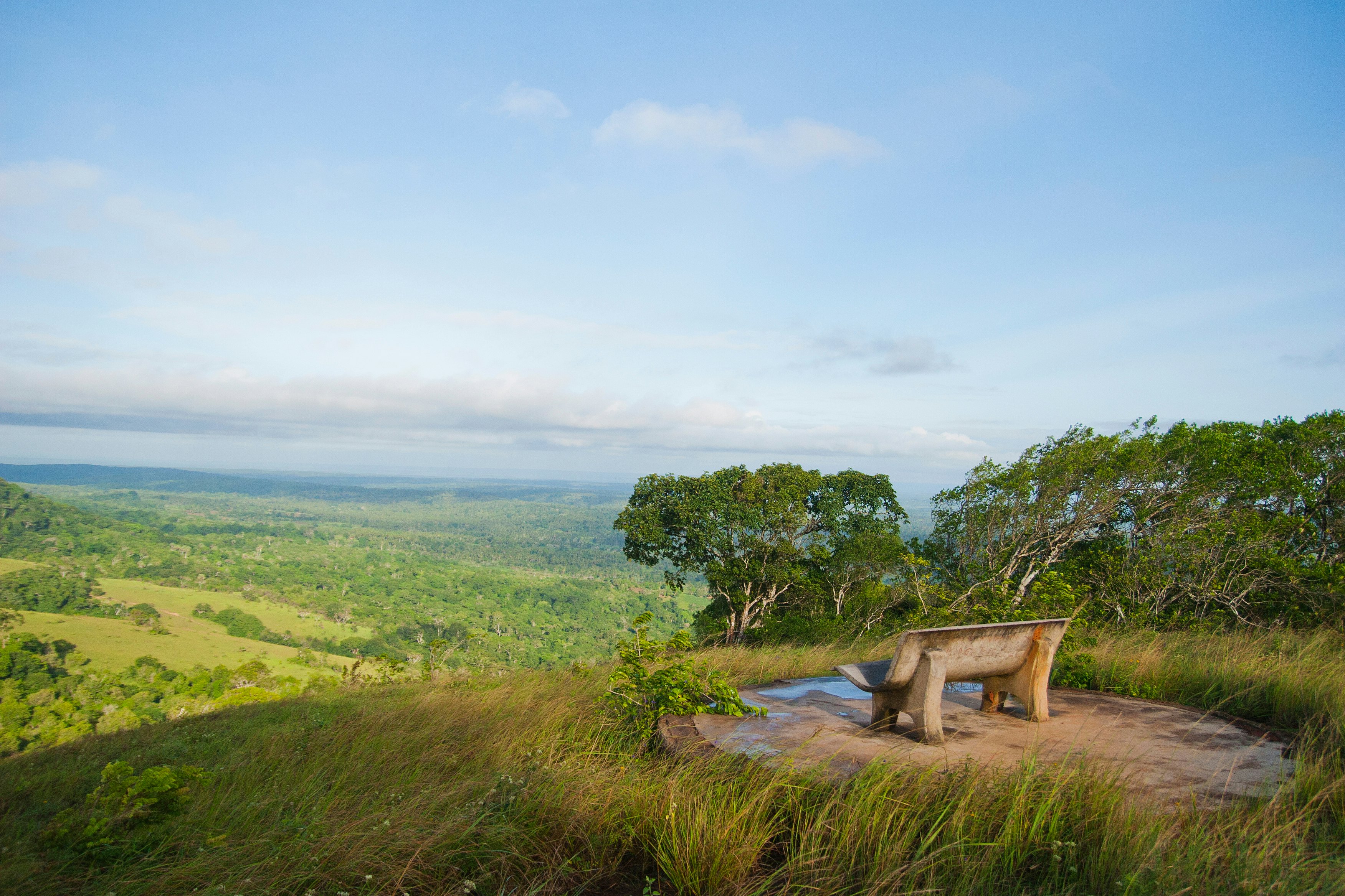 A bench with a view in Shimba Hills National Reserve, Kenya.