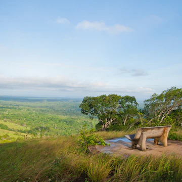 A bench with a view in Shimba Hills National Reserve, Kenya.