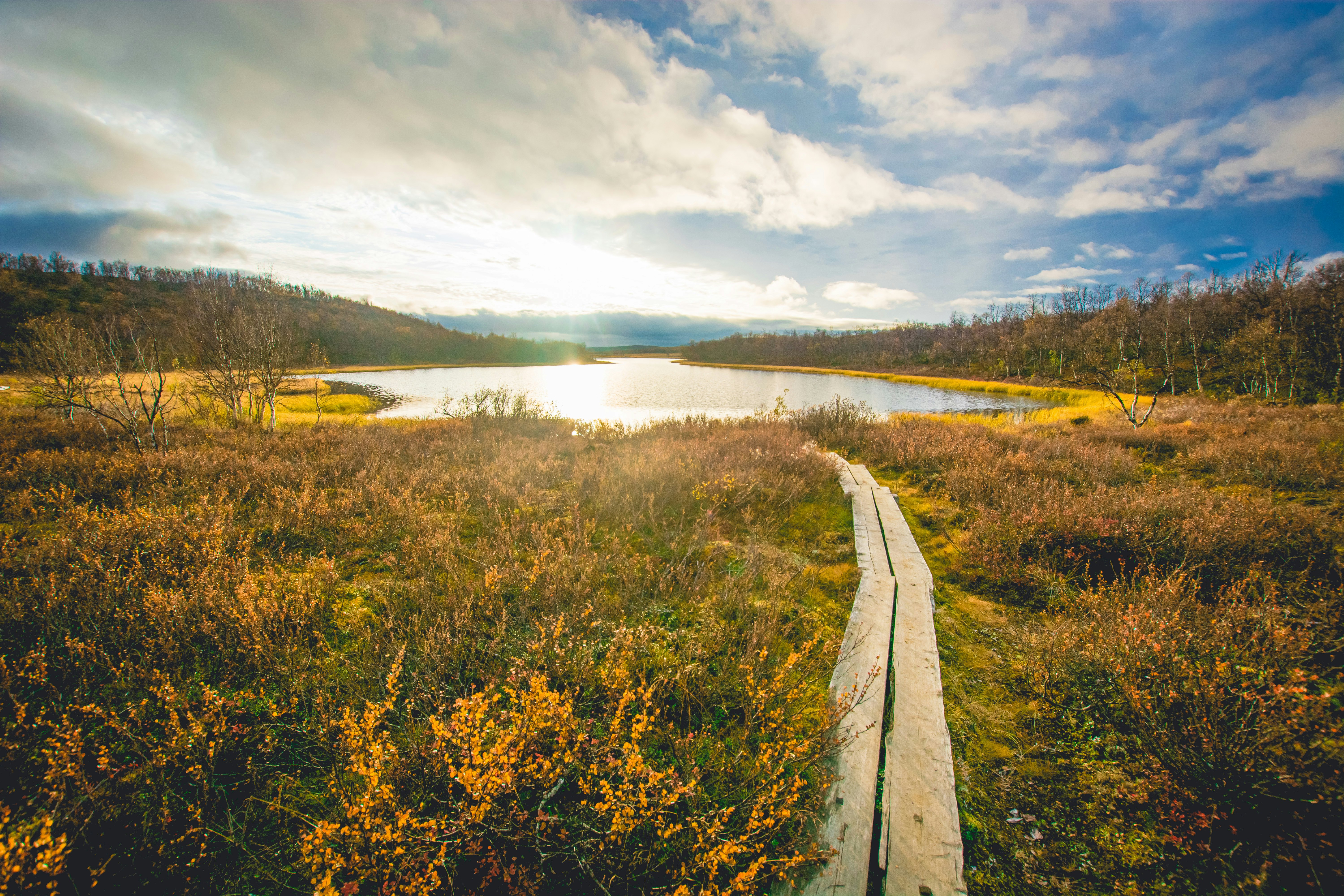 Kevo Strict Nature Reserve during autumn.