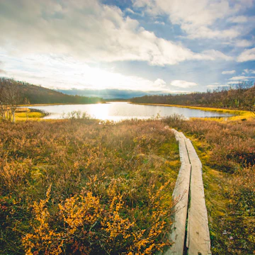 Kevo Strict Nature Reserve during autumn.