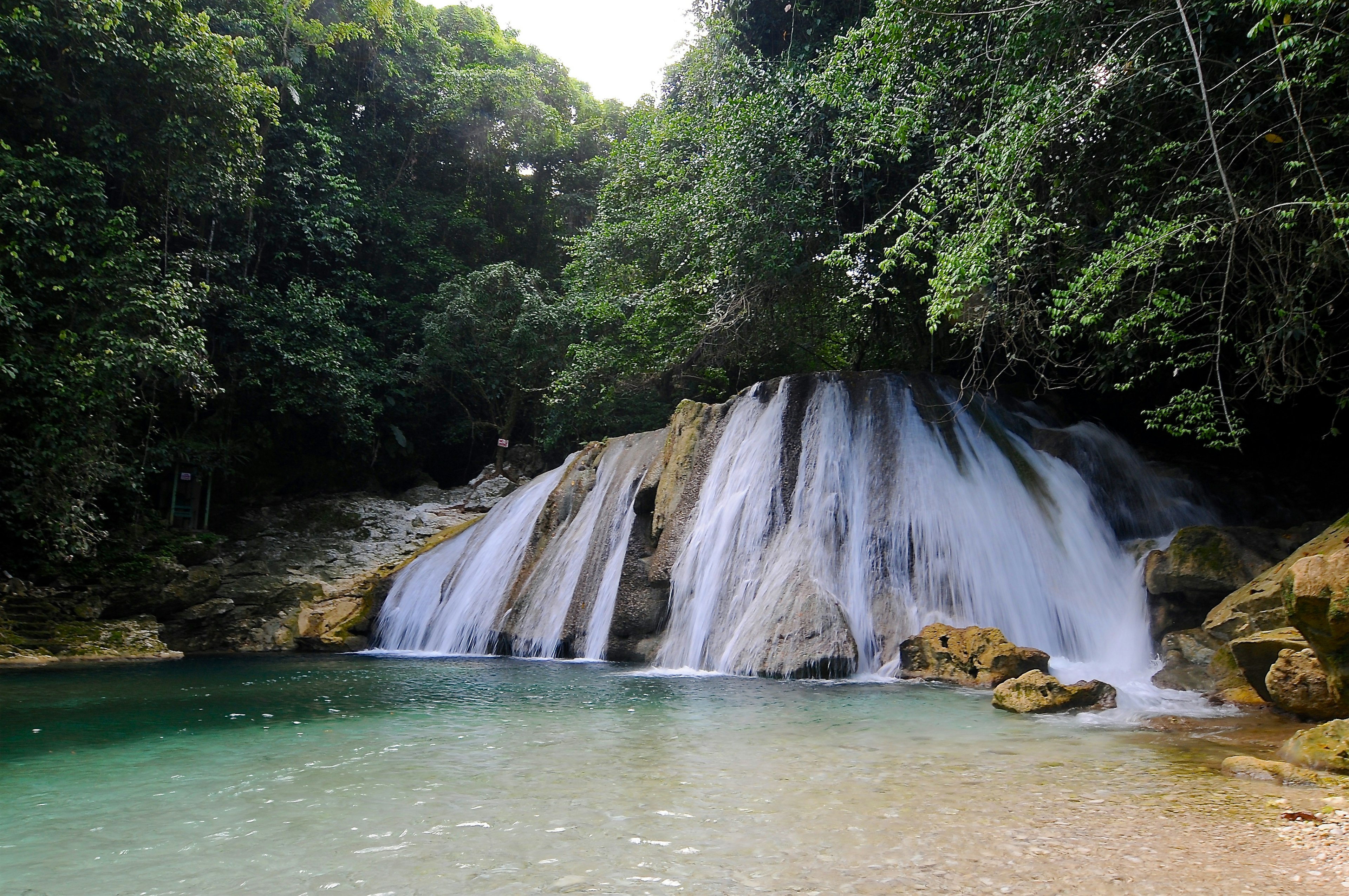 A waterfall cascades down into a pool in an area with dense foliage