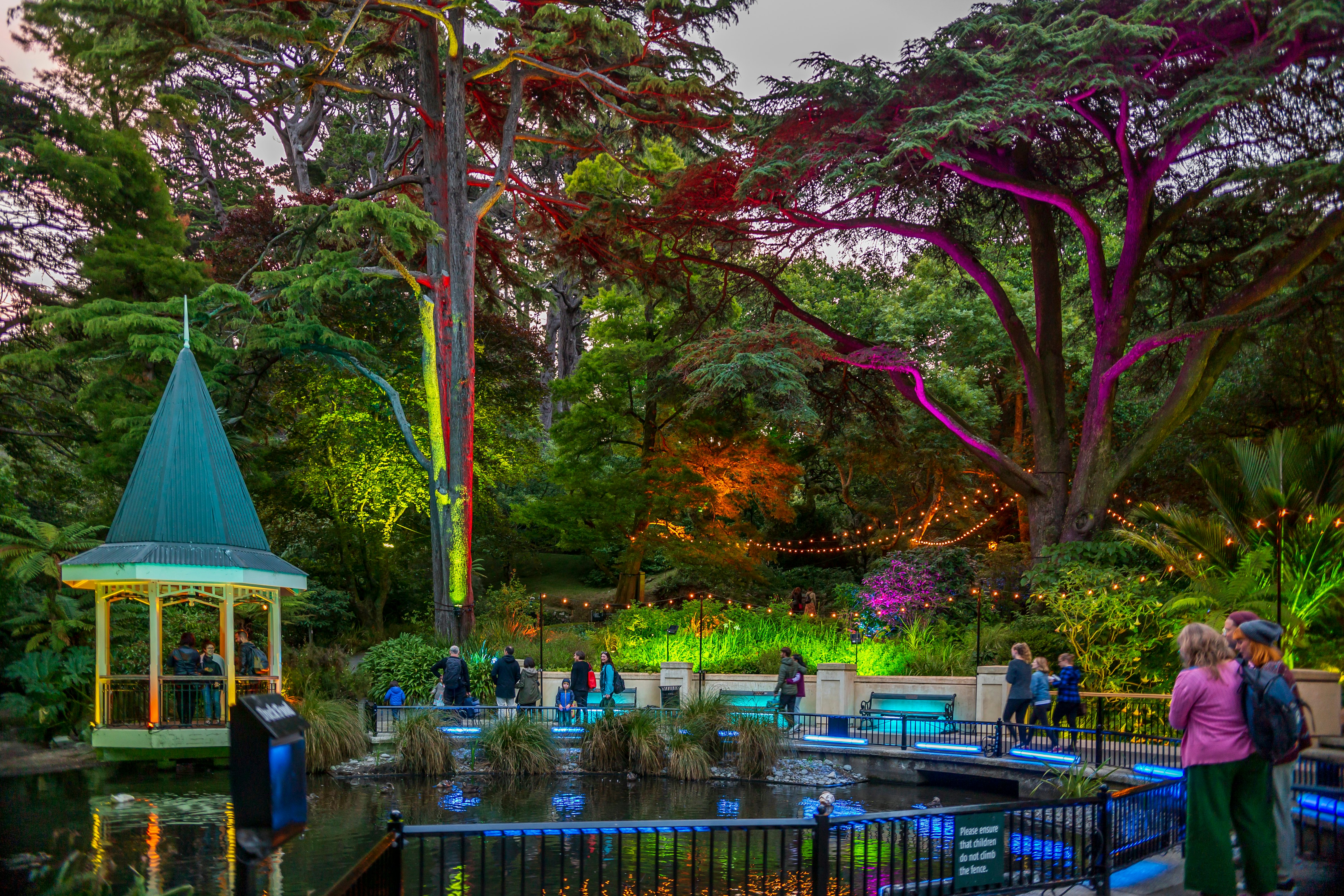 The Duck Pond at Wellington Botanic Gardens.