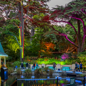 The Duck Pond at Wellington Botanic Gardens.