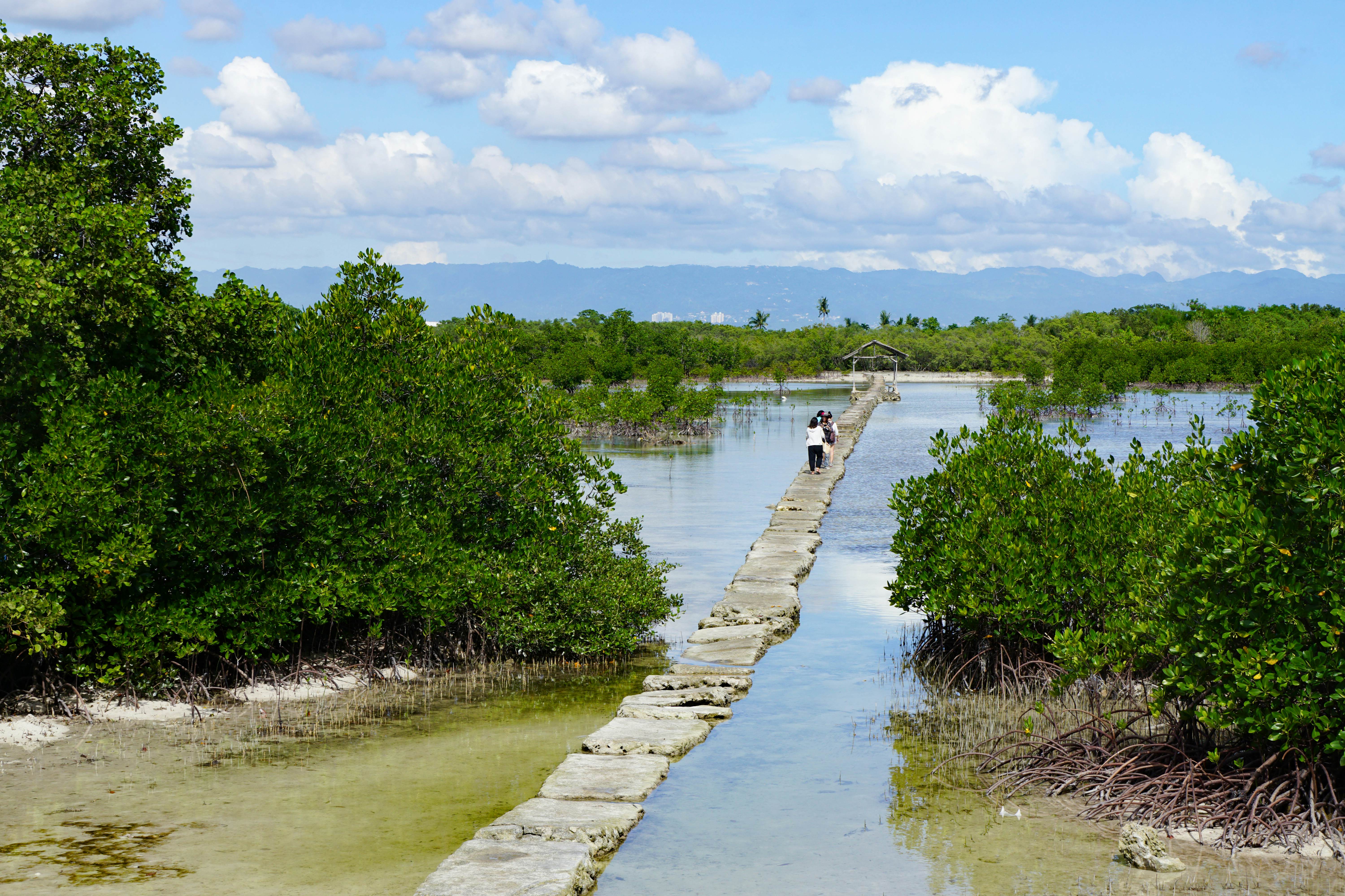 Trail to the observation deck among the water at low tide at Olango Island Wildlife Sanctuary.