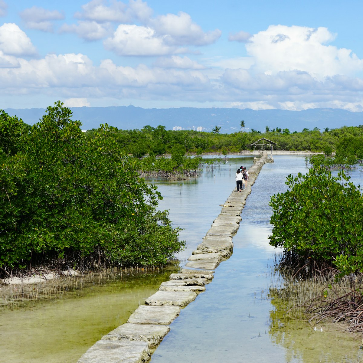 Trail to the observation deck among the water at low tide at Olango Island Wildlife Sanctuary.