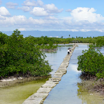 Trail to the observation deck among the water at low tide at Olango Island Wildlife Sanctuary.
