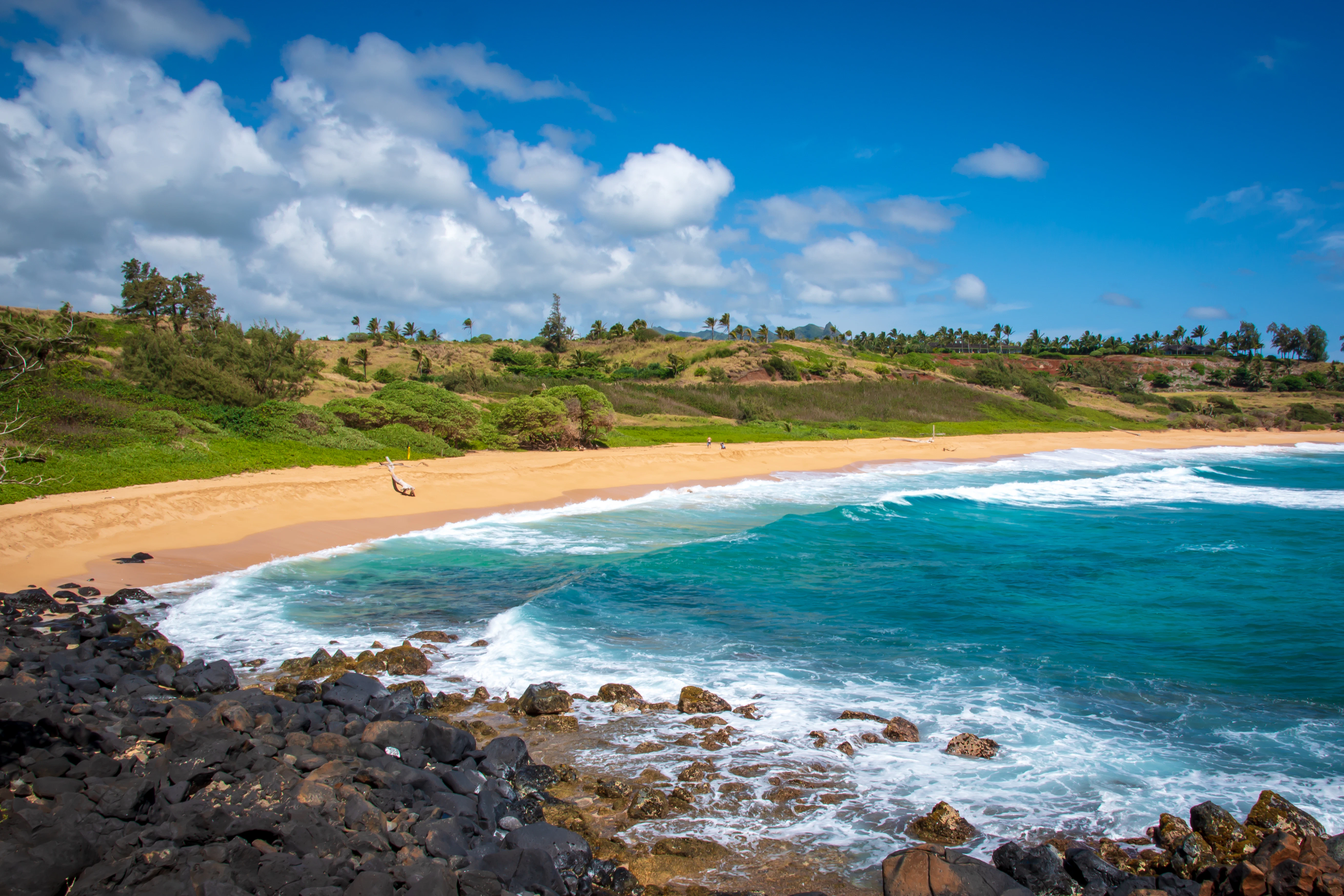 Paliku Beach (Donkey Beach) - Ke Ala Hele Makalae Trail / Kauai Multi Use Path, Kauai, HI. 04/04/19: Windswept beach along Kauai's Eastern Coast.
1726131745
animal, architecture, background, beach, beautiful, bike path, biking, blue, brown, closeup, coast, copy space, cycling, environment, hawaii, hiking, historical, island, kauai, landmark, landscape, lava rock, natural, nature, ocean, old, outdoor, outdoors, pacific ocean, rock, sand, sandy, scenic, scenic landscape, sea, stone, summer, sunny, sunny day, tourism, trail, travel, tropical, turquoise, vacation, walking, water, waves, wild, wildlife