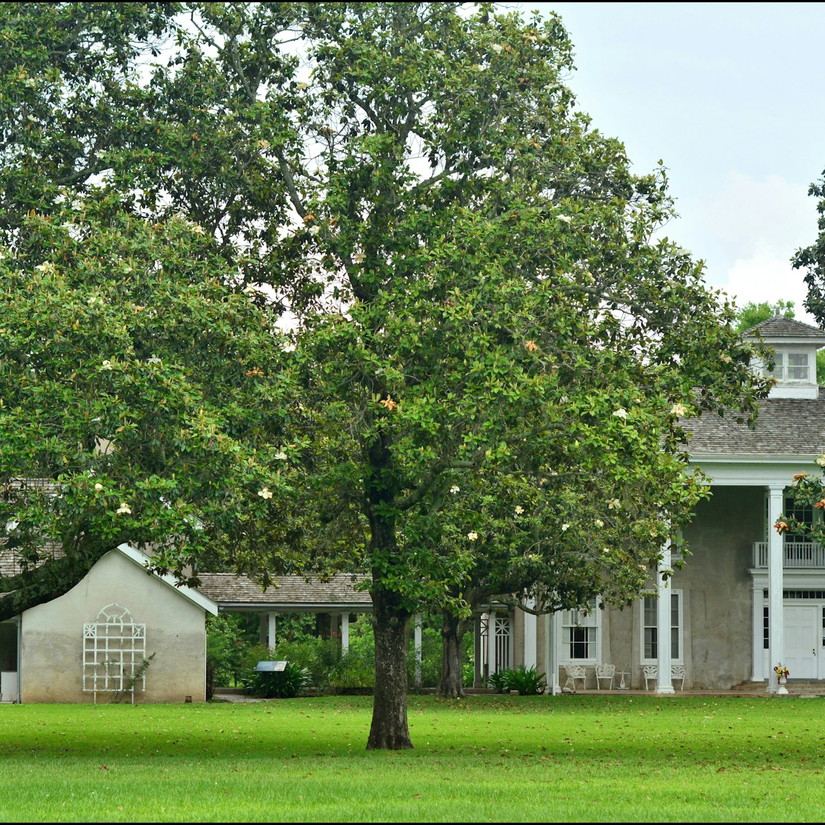 Varner-Hogg Plantation Home in Texas.