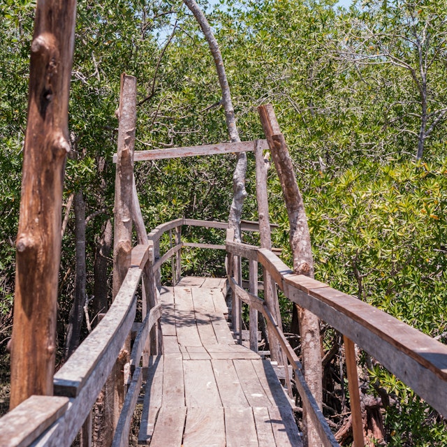 Rustic wooden bridge on the trails of the Curu Wildlife Reserve in Costa Rica.