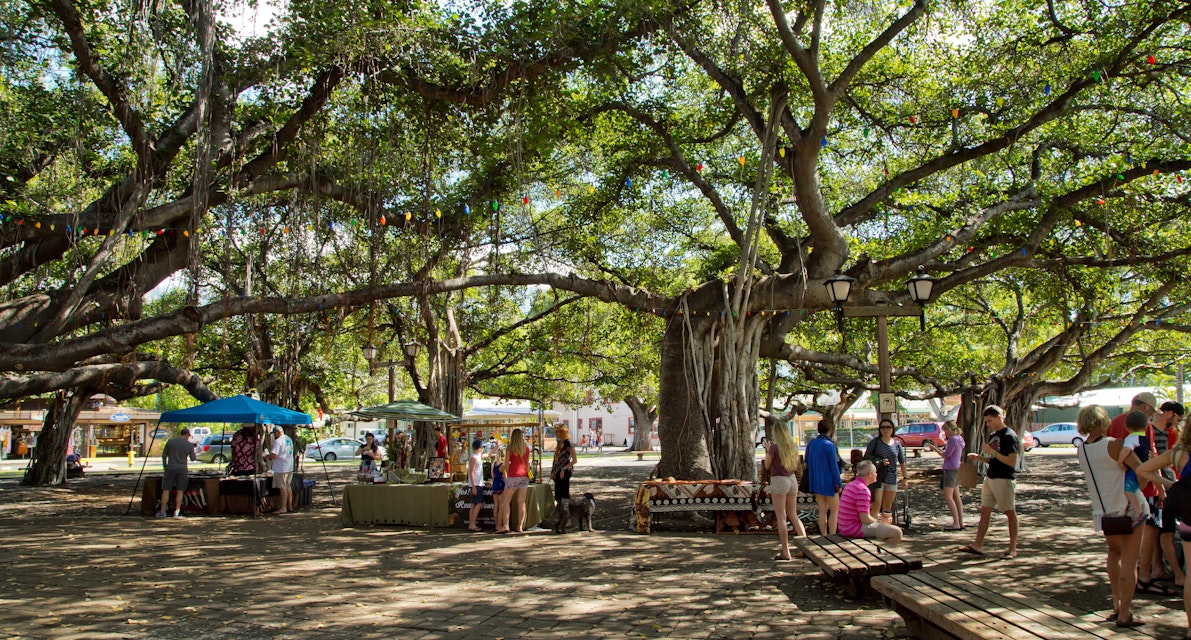 People shop at market stalls under the famous Banyan Tree in Courtyard Square.