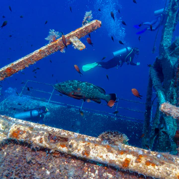 Zenobia ship wreck near Paphos, Cyprus ; Shutterstock ID 471124055; purchase_order: 65050; job: ; client: ; other:
471124055