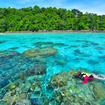 Snorkeling in clear water at Surin island.
