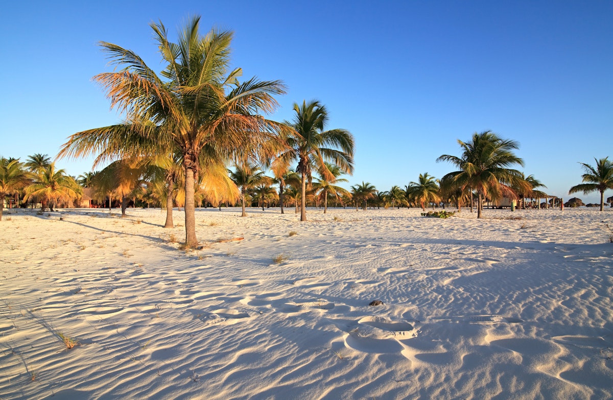Palm trees on white sand at Playa Sirena on Cayo Largo.
98655236
tree, sand, cayo, palm, cuba, flora, playa, beach, white, plant, largo, sandy, sirena, island, beauty, tourism, caribbean, landscape, recreation