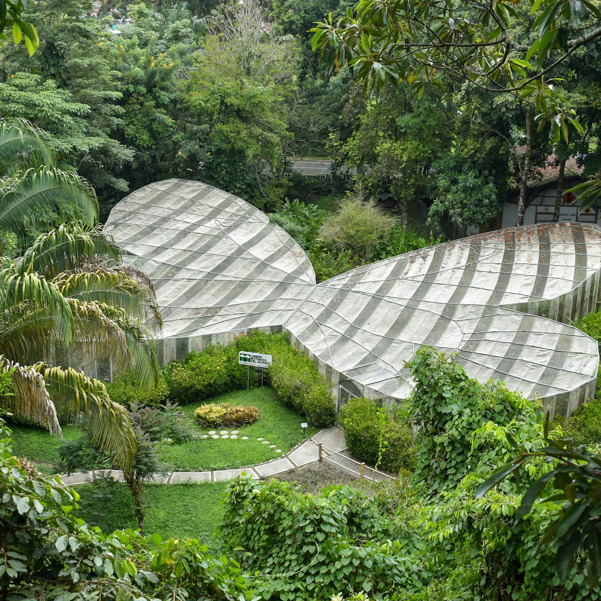 Butterfly Garden of the Quindio Botanical Garden.