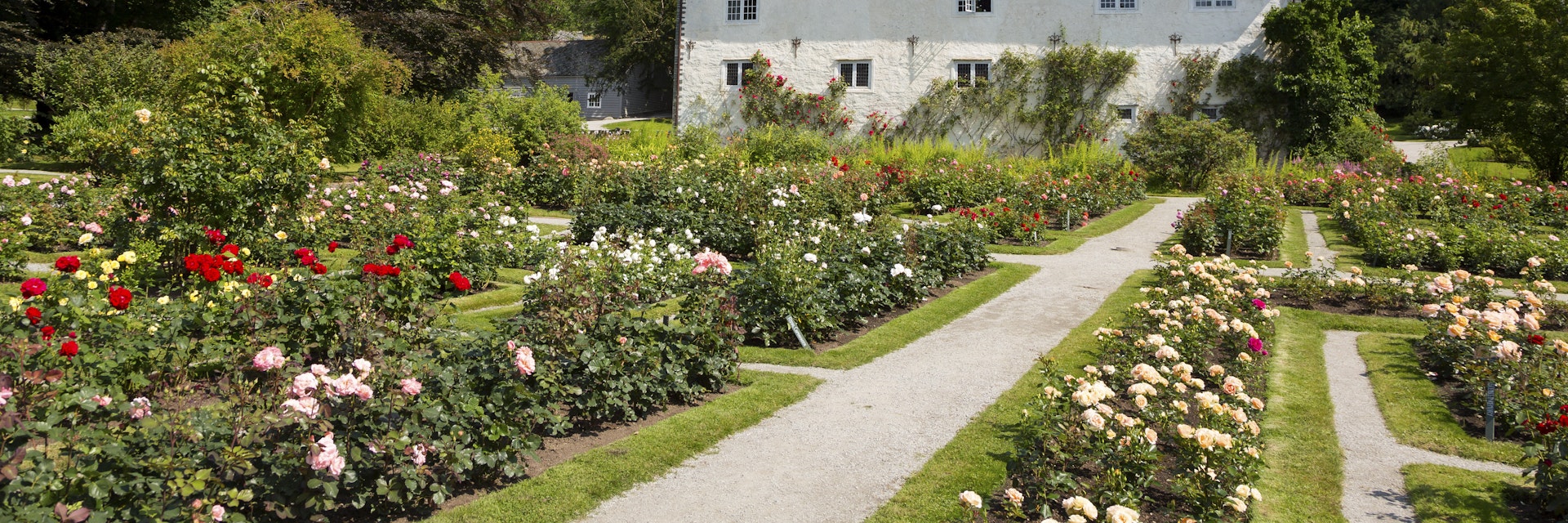 Baroniet Rosendal and the renaissance rose garden.