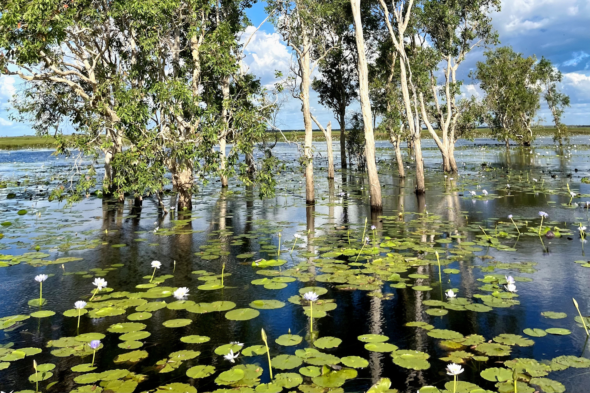 Northern Territory wetlands