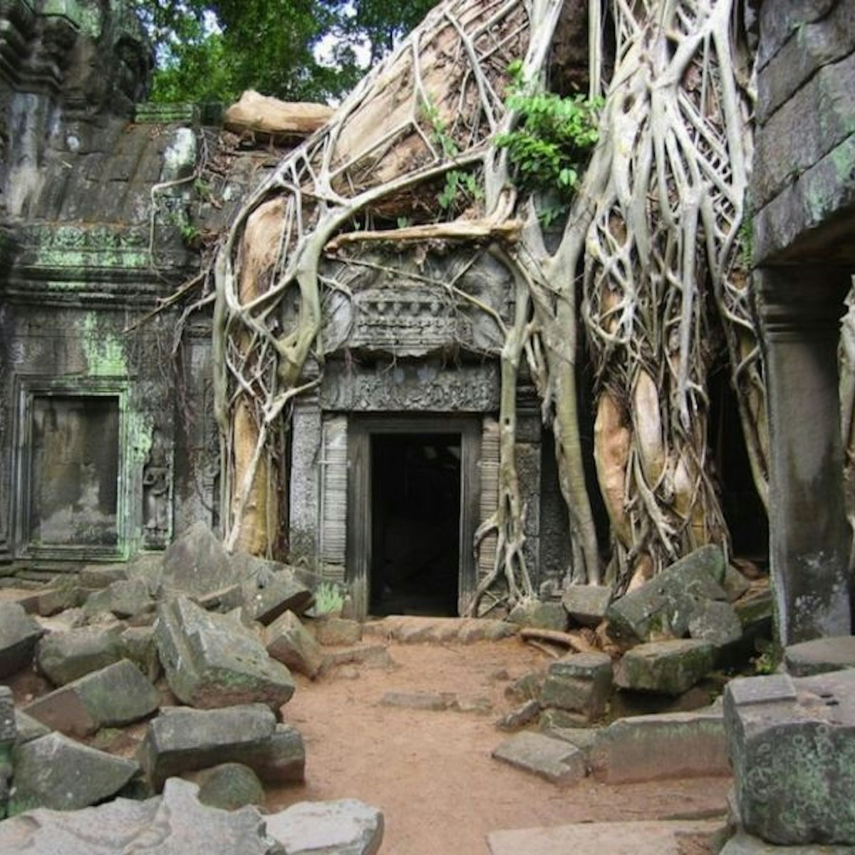 Overgrown temple of Ta Prohm.