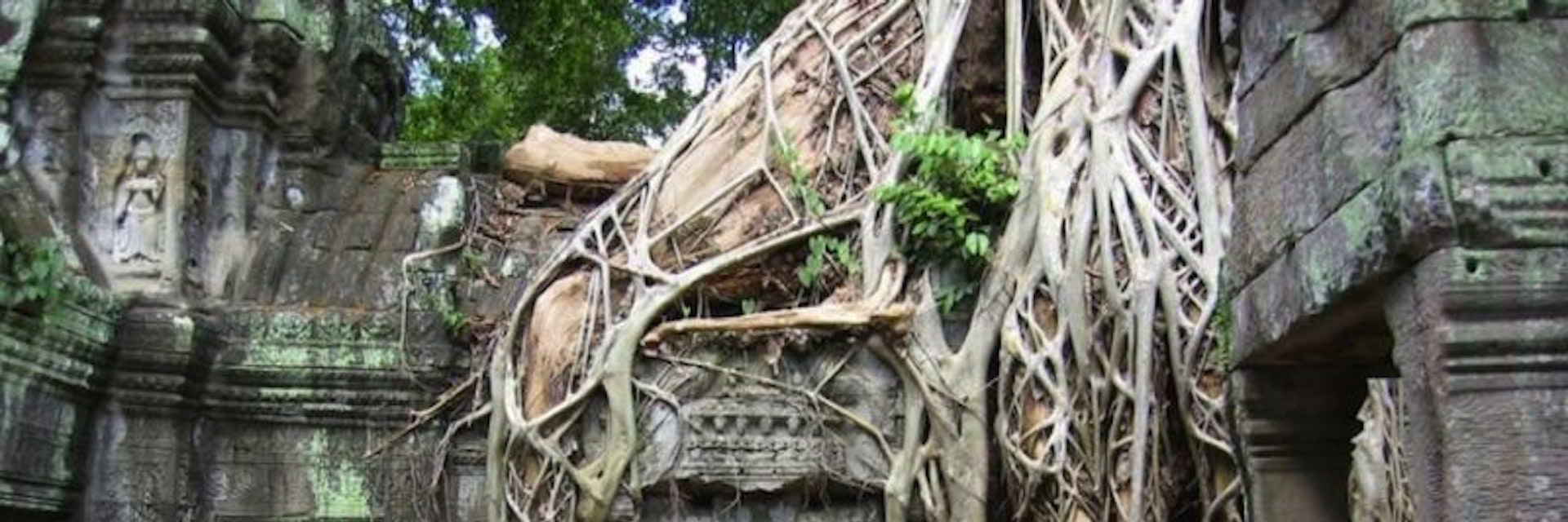 Overgrown temple of Ta Prohm.