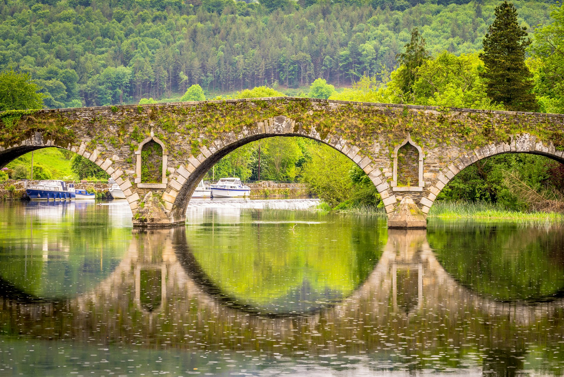 Details of an elegantly-composed bridge, seven-arch rubble limestone Palladian-style road bridge over River Barrow