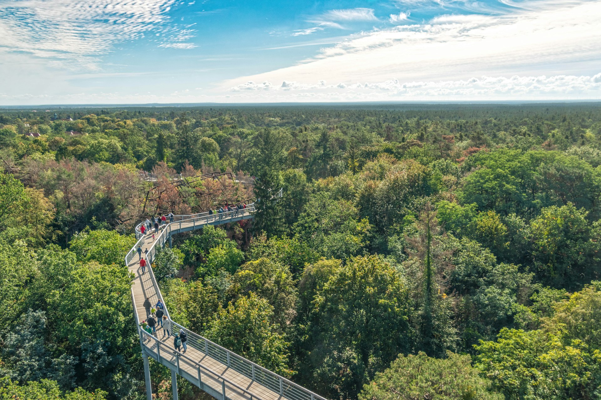 An overhead view of people on a metal walkway through forest canopy in autumn in Beelitz, Germany