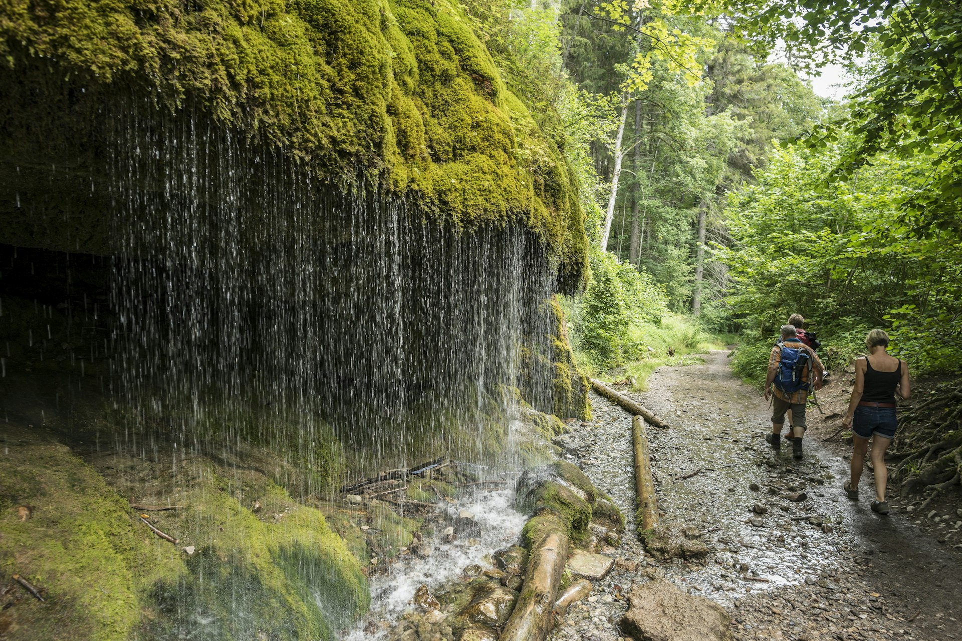 Three hikers make their way along a wooded path running through a gorge. Water cascades on their left