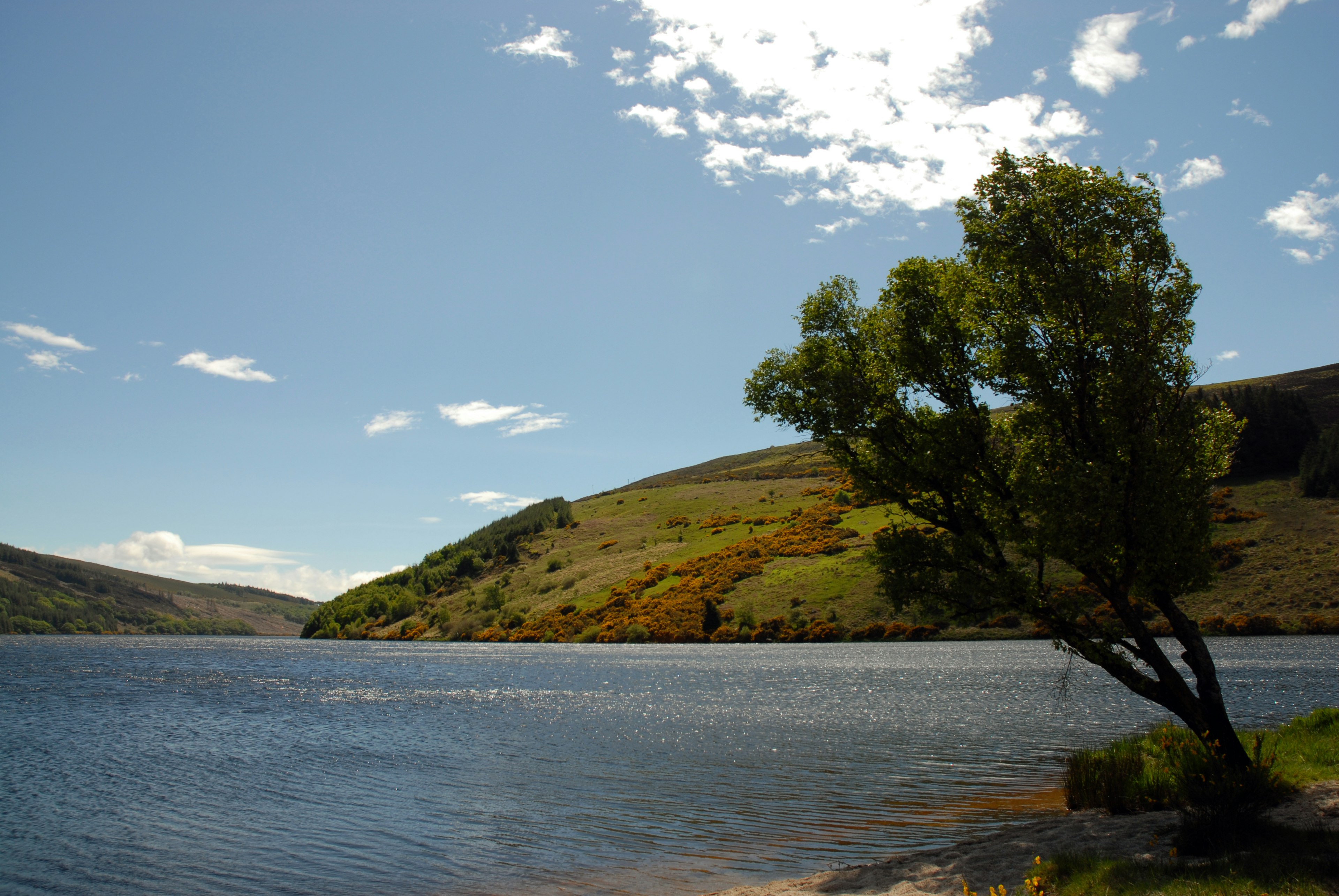 Lough Dan and the Wicklow Mountains in the background