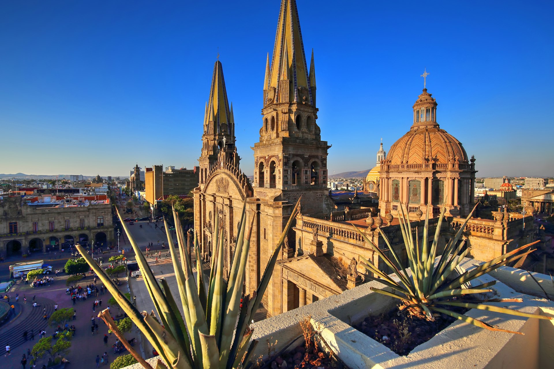 A view of Guadalajara cathedral from a nearby rooftop, framed by agave plants against a blue sky