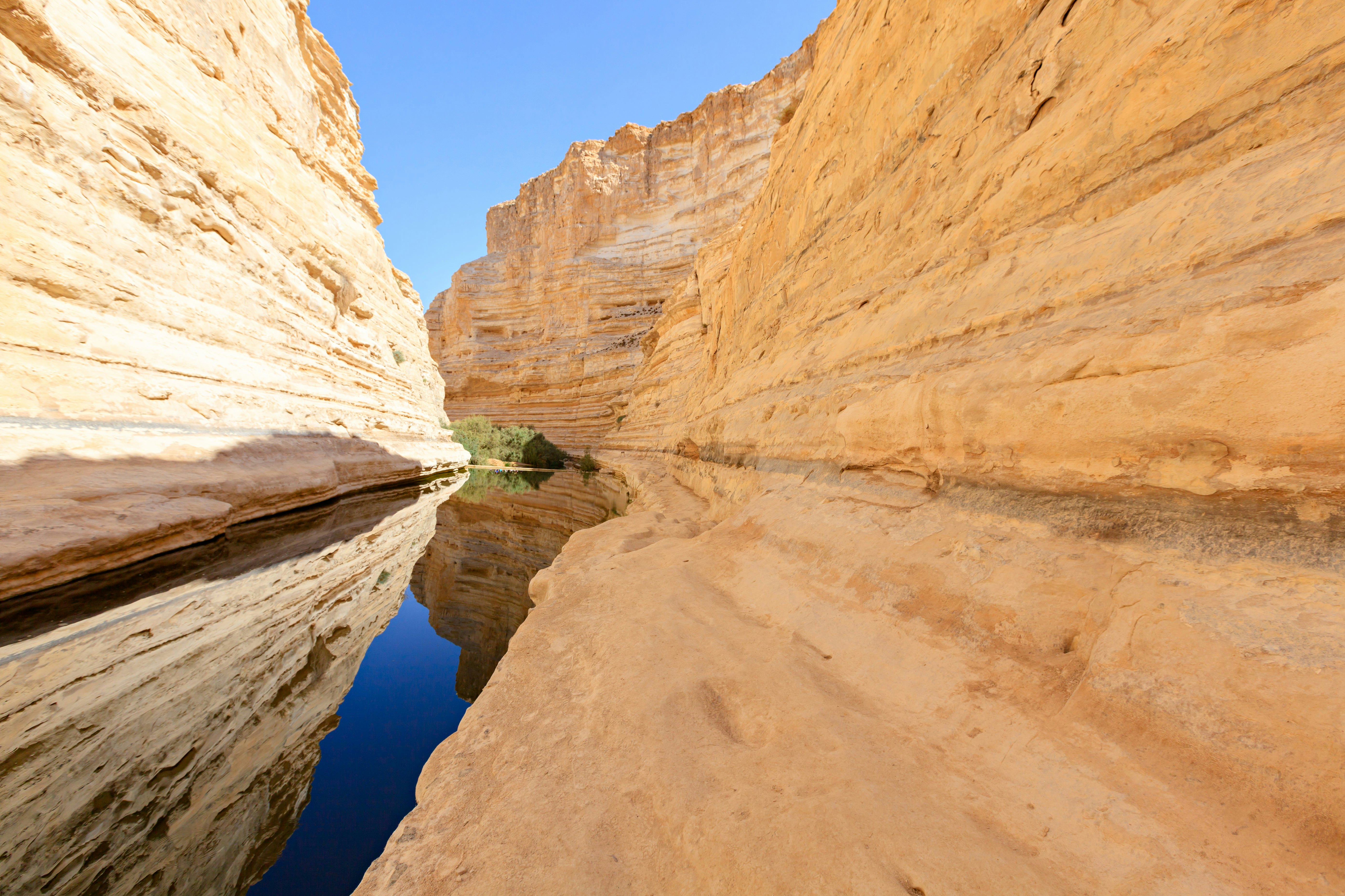 En Avdat National Park, Desert Negev, Israel.