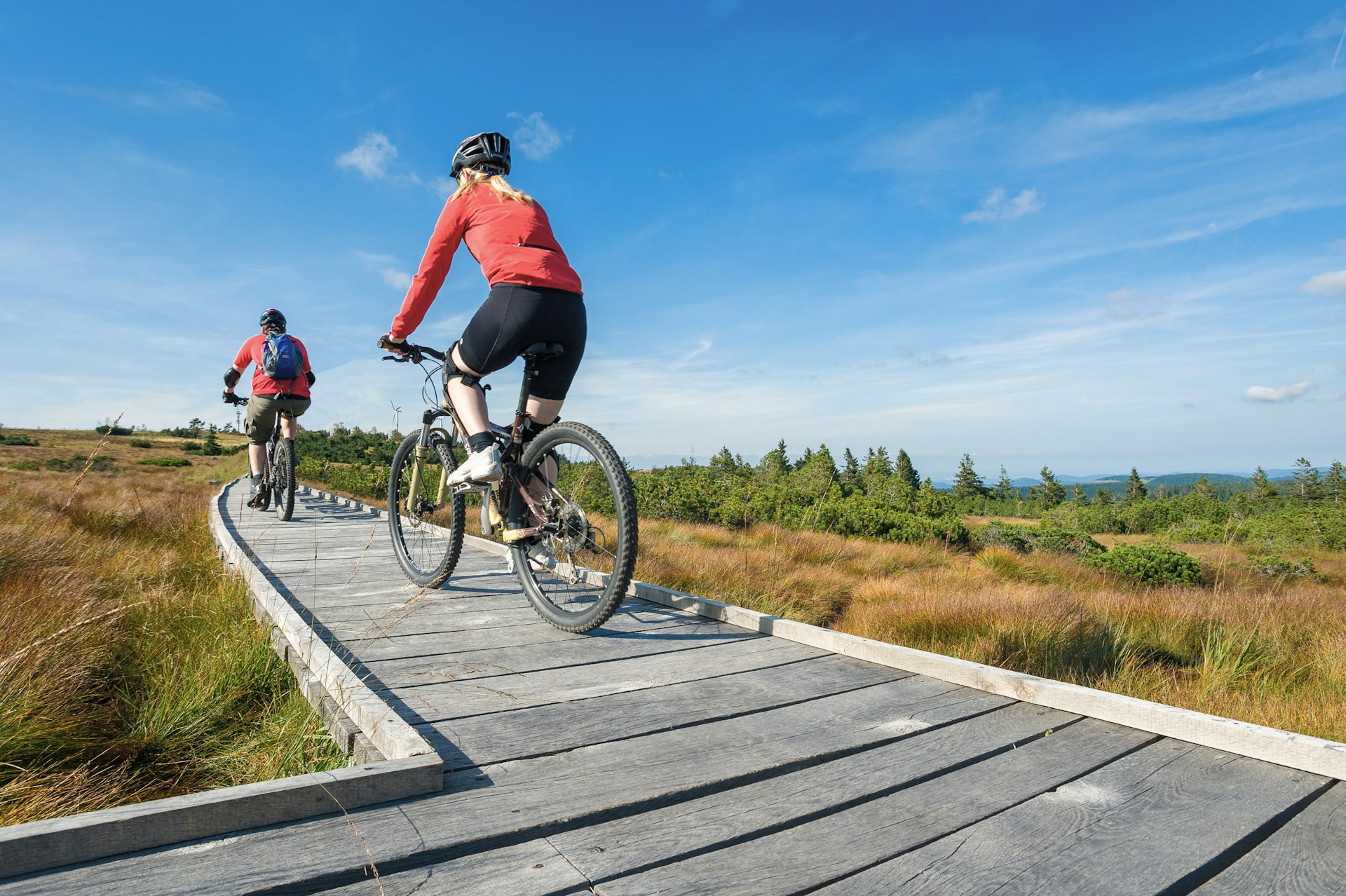 Cyclists on the boardwalk in the Hornisgrinde high moor landscape Germany