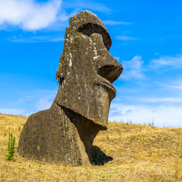 Mystery History Nature Travel Destinations Vertical Human Body Part Human Head Sculpture Carving - Craft Product Monument Park - Man Made Space Statue Chile Easter Blue White Color Pyramid Ancient South Famous Place National Landmark International Landmark Cultures Sky Light - Natural Phenomenon Cloud - Sky Landscape Hill Mountain Volcano Island Stone Material Rock - Object Day Sea Pacific Ocean Easter Island Rano Raraku Moai Statue Polynesia Quarry Mining Arranging Volcanic Landscape Photography Temperate Rainforest Travel Polynesian Culture The Human Body UNESCO World Heritage Site 62990
Polynesian Stone Carving at Rano Raraku Quarry in Easter Island, Chile