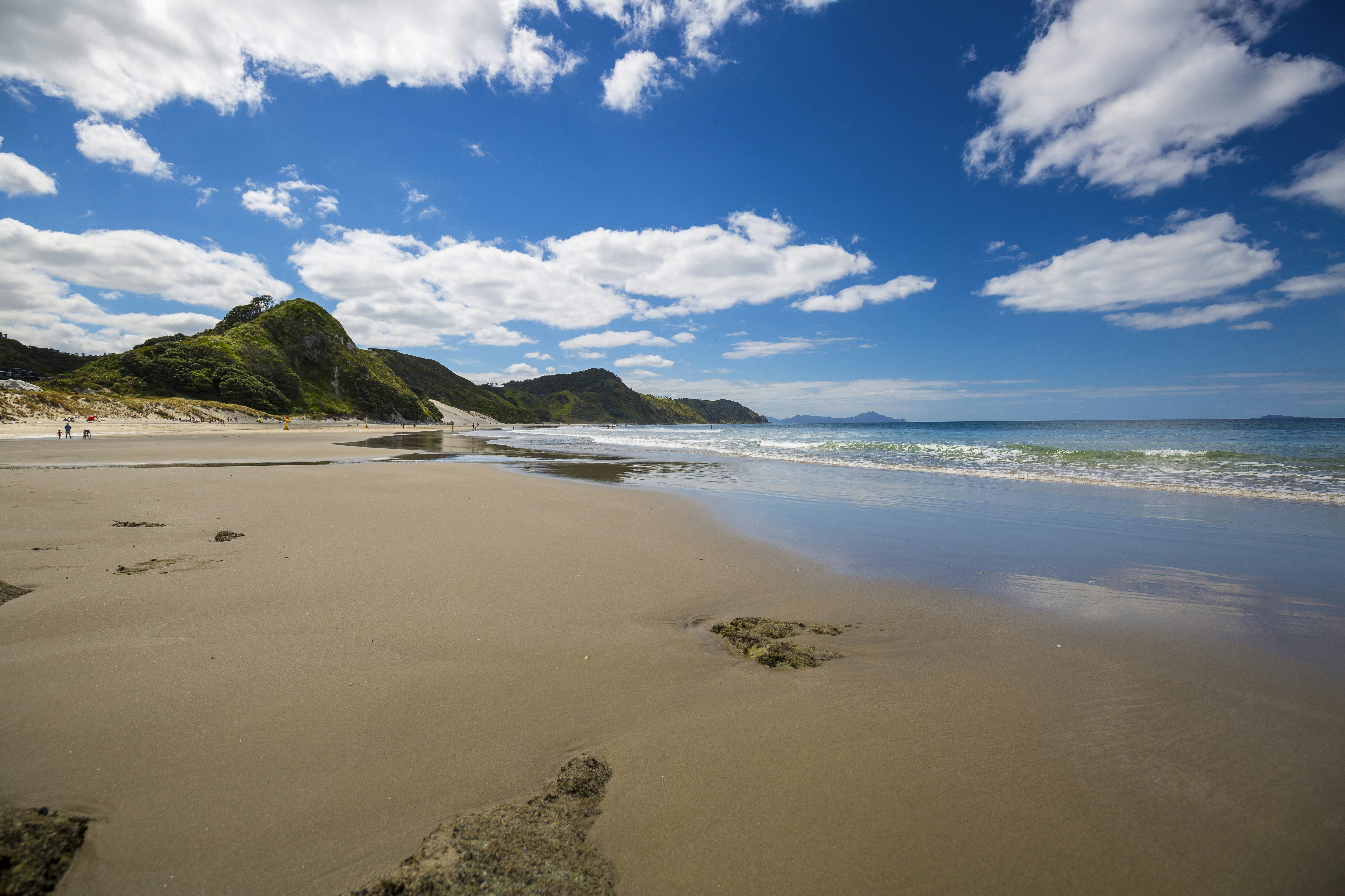 Beach at Mangawhai Heads.