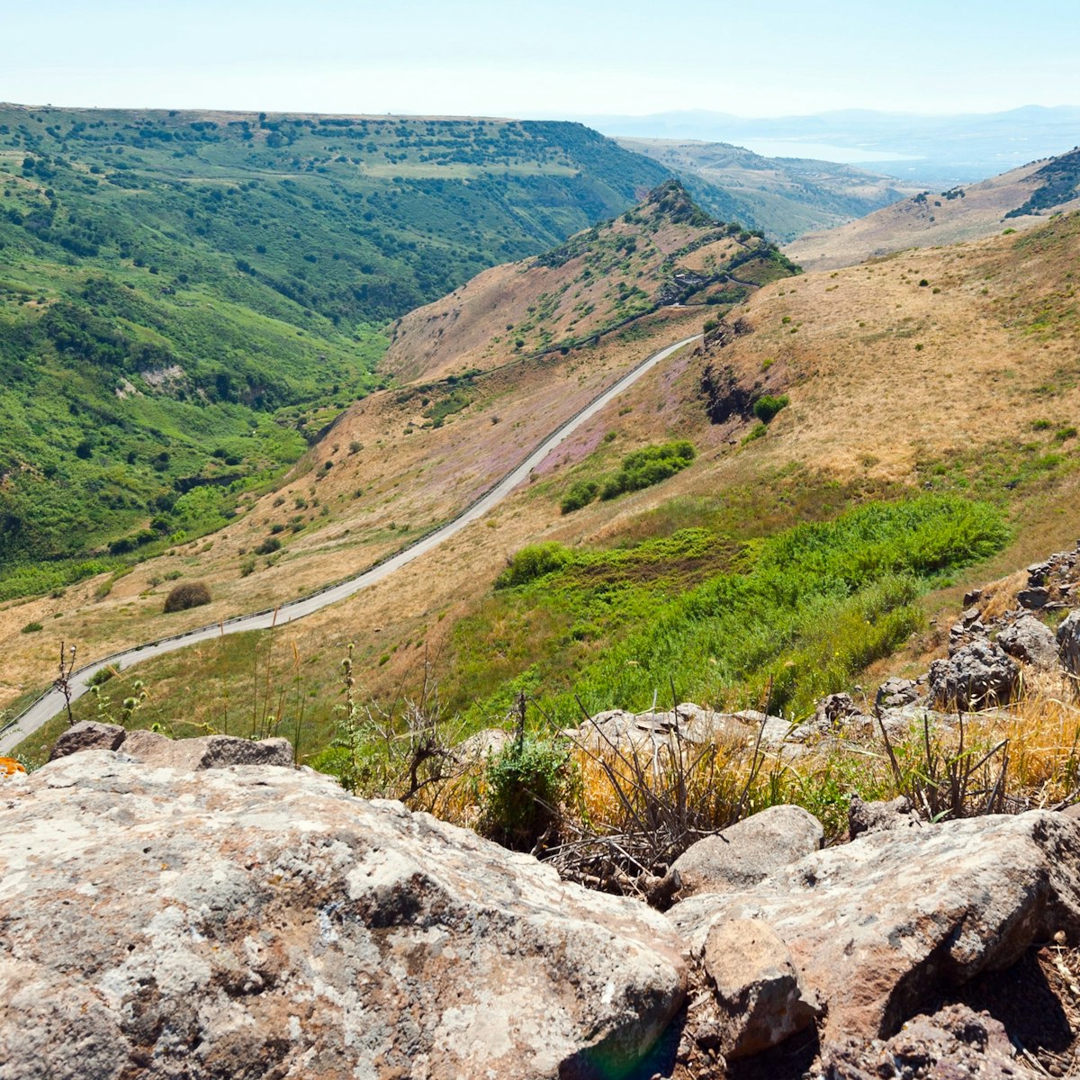 Gamla Nature Reserve in Israel.