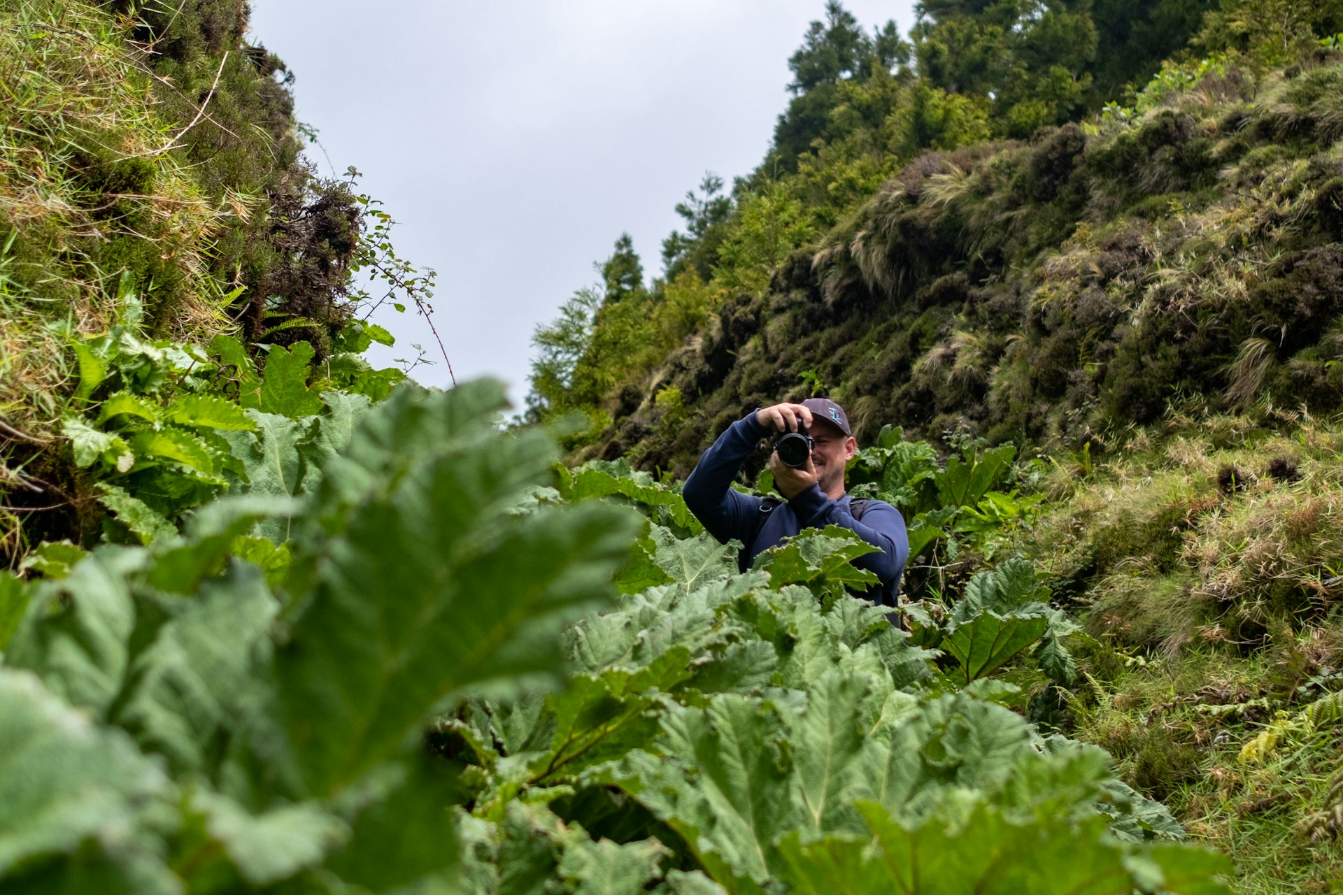 Hiking trails in Azores