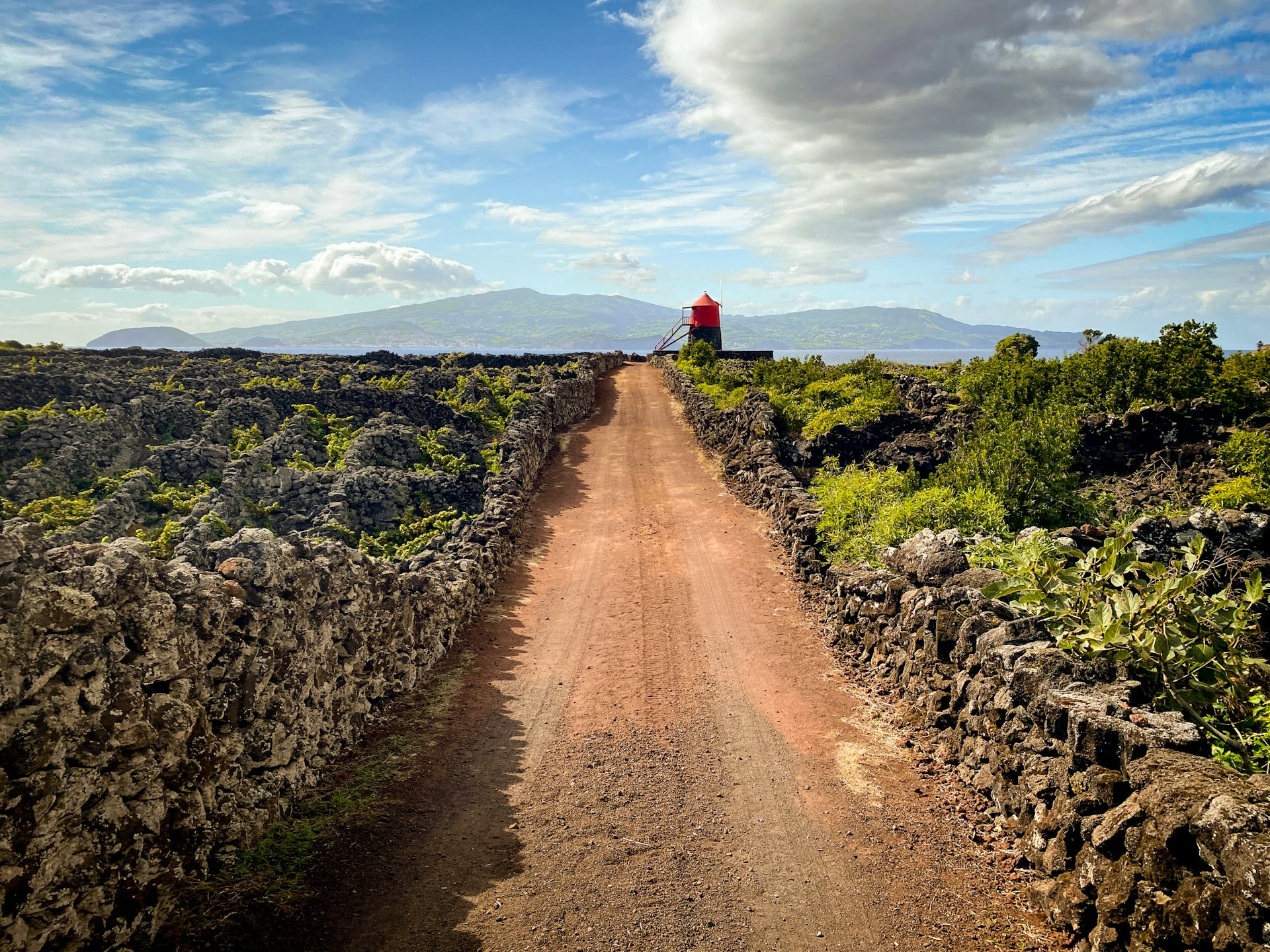 Picos-Unesco-listed-vineyards-in-Criacao-Velha-are-easily-explored-on-foot-and-are-less-than-an-hours-walk-from-the-islands-capital-of-Madalena--Daniel-James-Clarke-.jpg