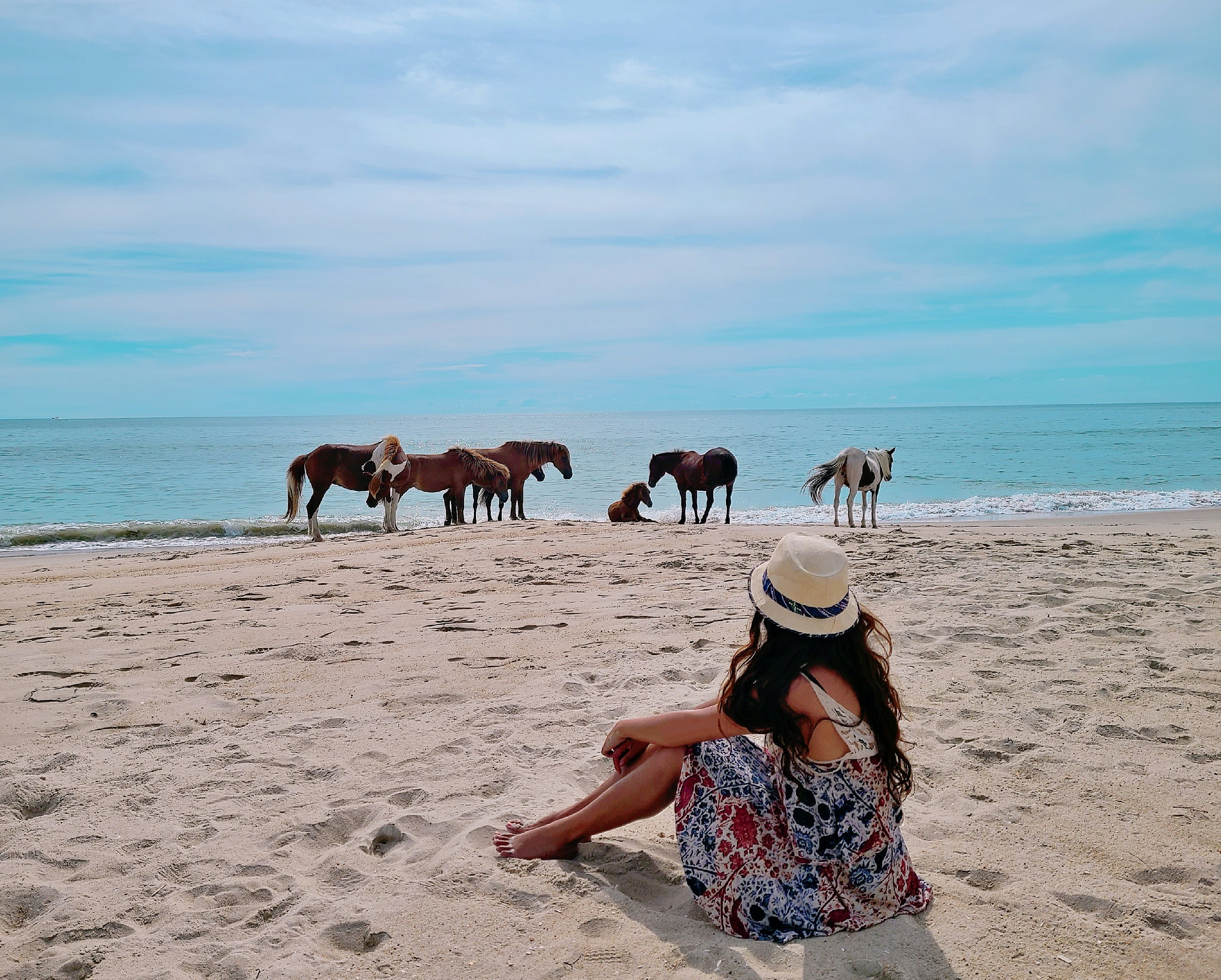 A woman wacthes the wild horses of Assateague Island National Seashore, Virginia, USA