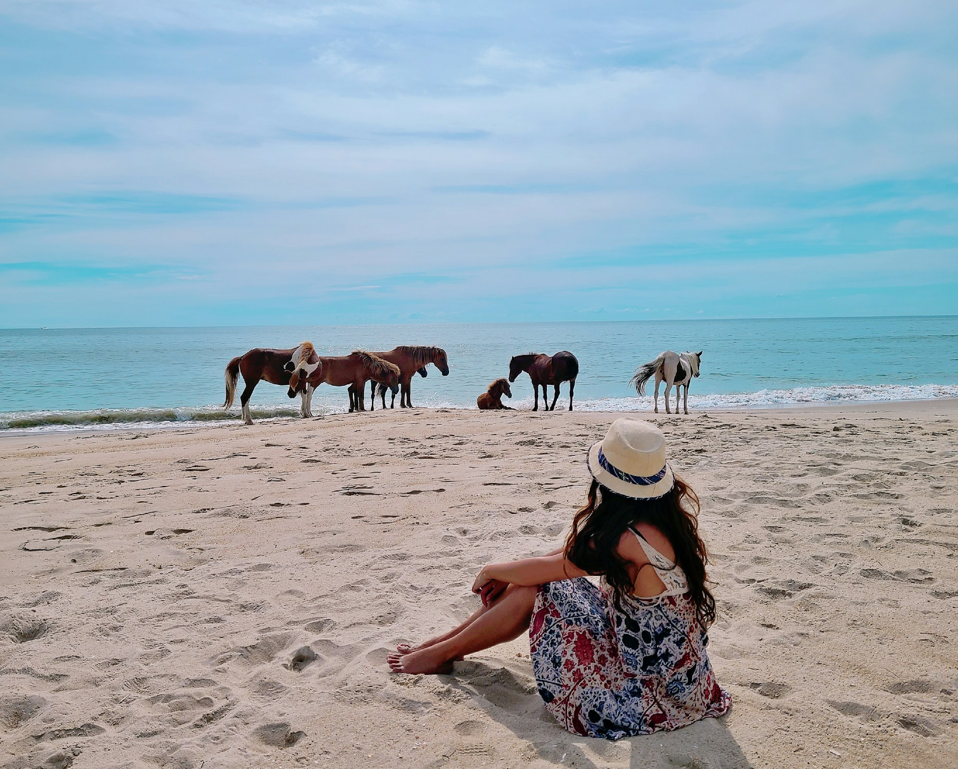 A woman wacthes the wild horses of Assateague Island National Seashore, Virginia, USA