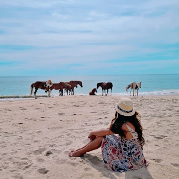 Wild horses of Assateague Island National Seashore.