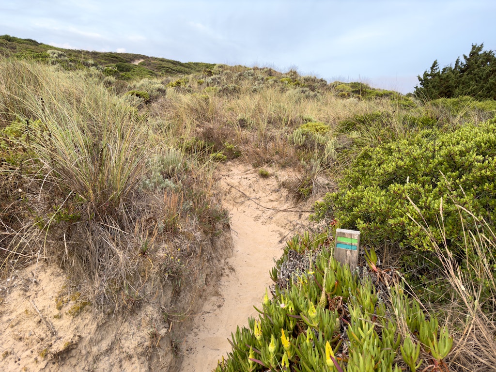 Hiking the Fishermen’s Trail in Portugal - Lonely Planet