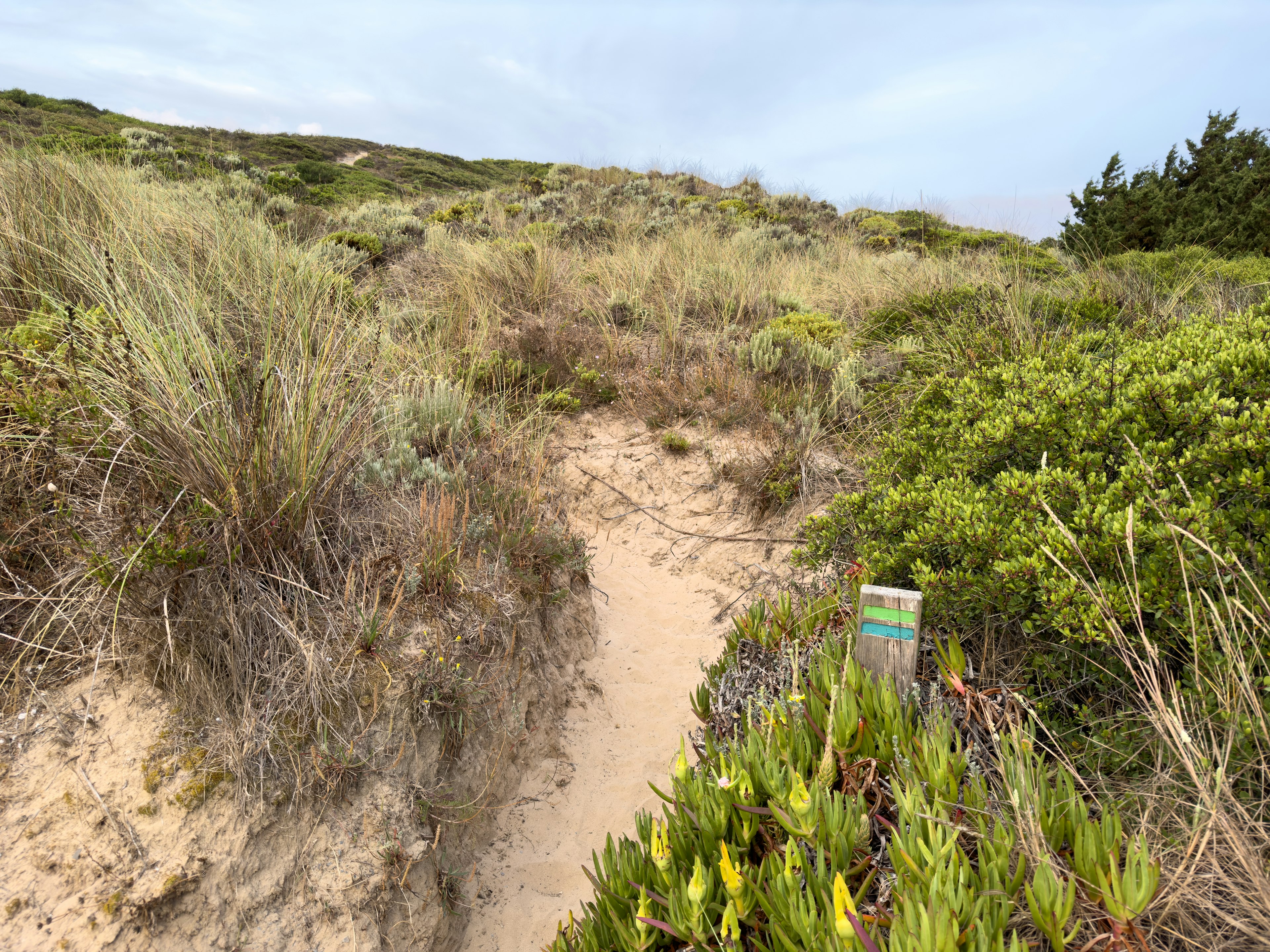 fisherman-trail-portugal-IMG47-copy.jpg