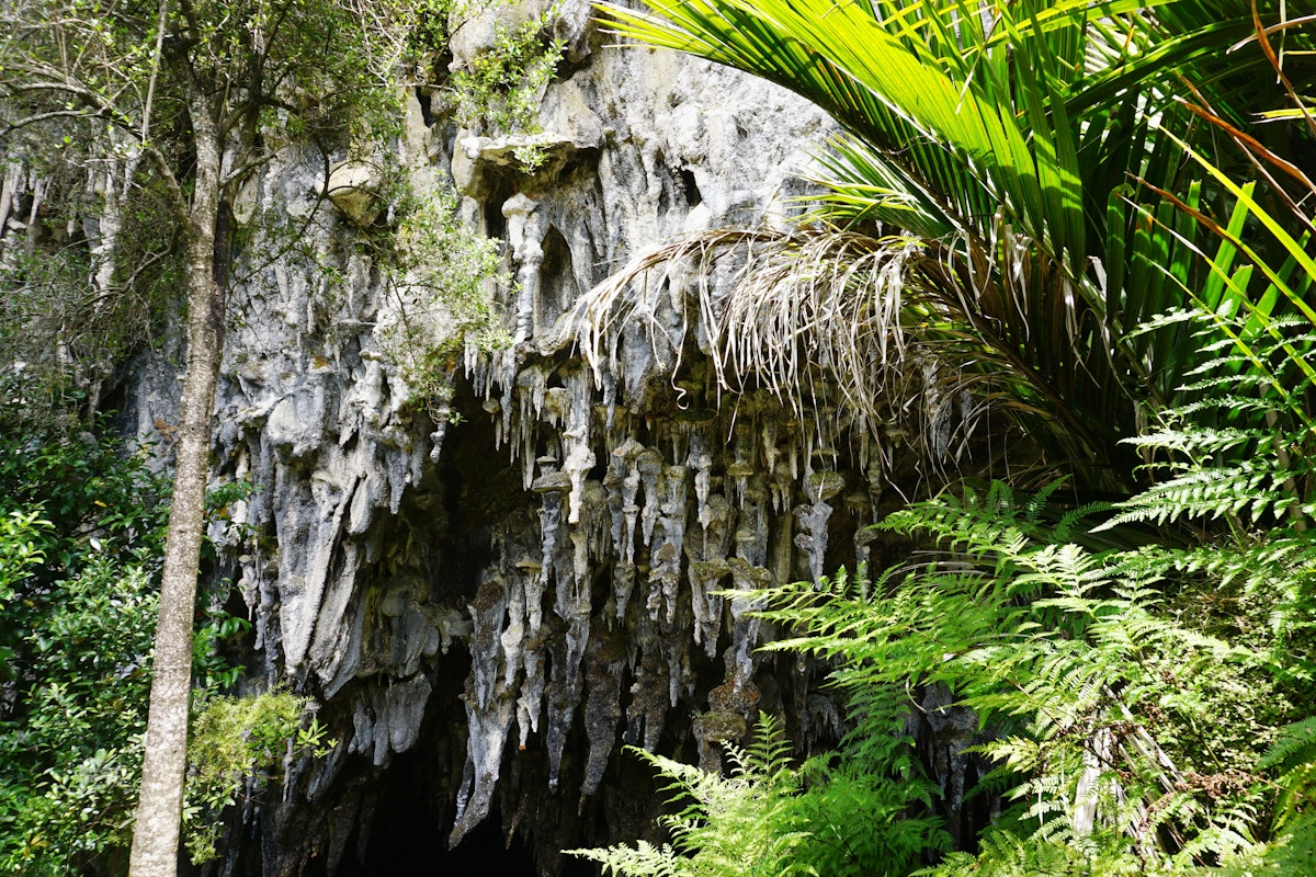 Stalactites at Rawhiti Cave, Golden Bay, New Zealand.