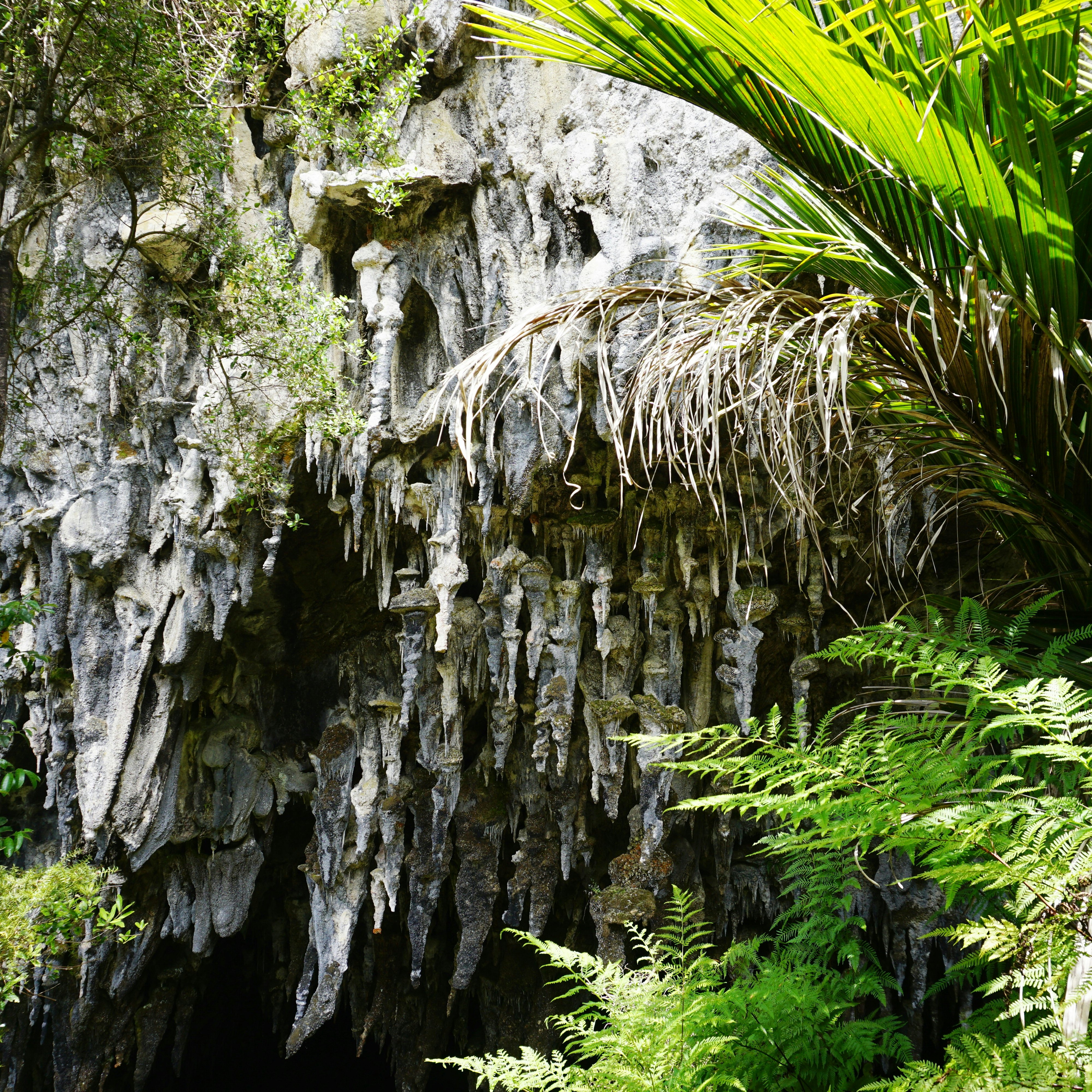 Stalactites at Rawhiti Cave, Golden Bay, New Zealand.
